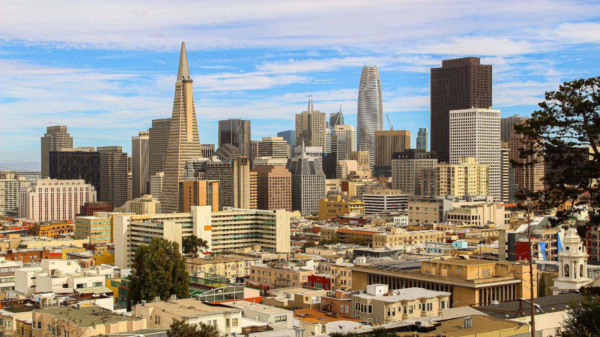 小さなニューヨークのように感じる7つの米国の都市