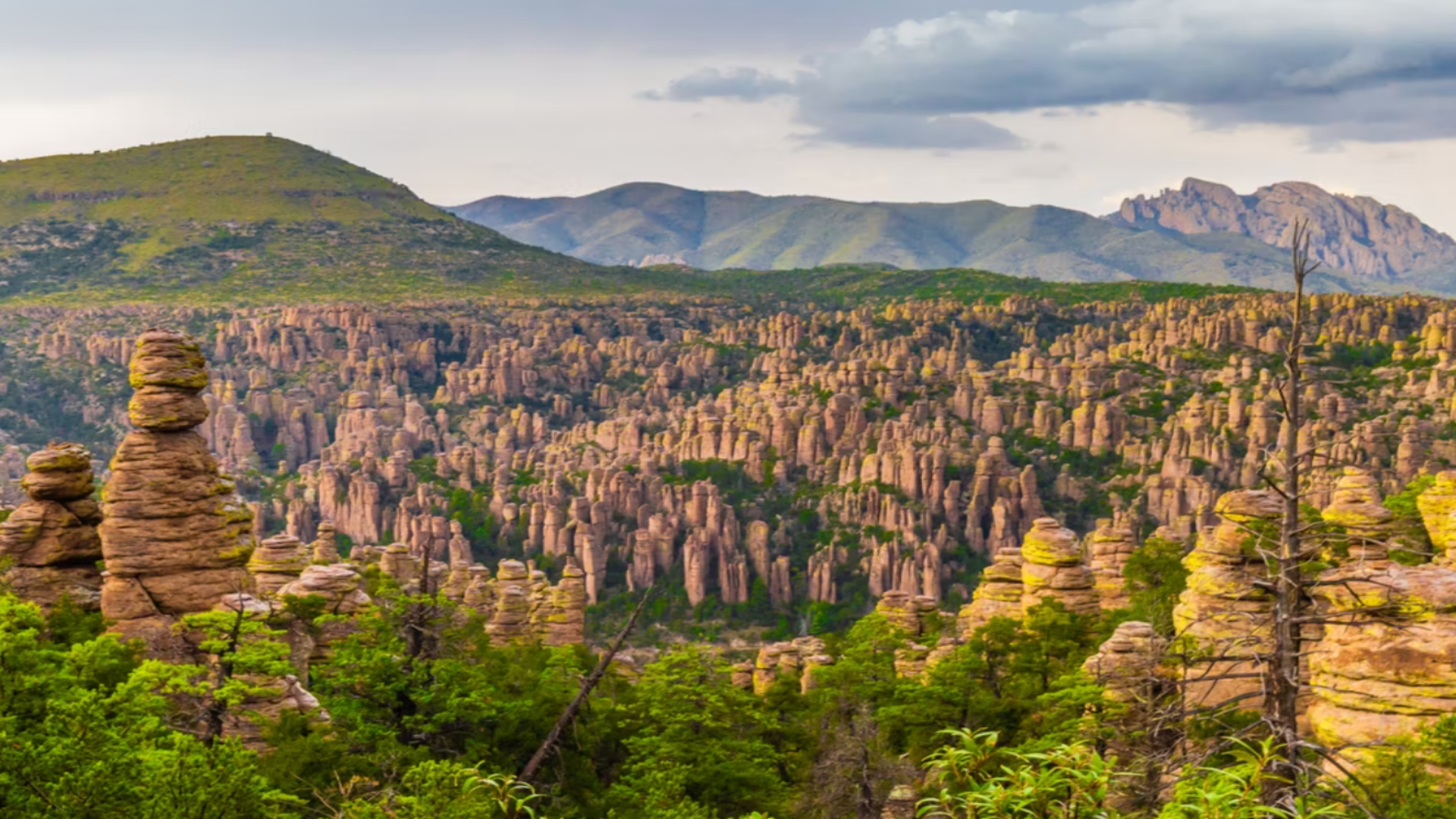 この見過ごされているアリゾナ国立公園はアバターからまっすぐに見えます
