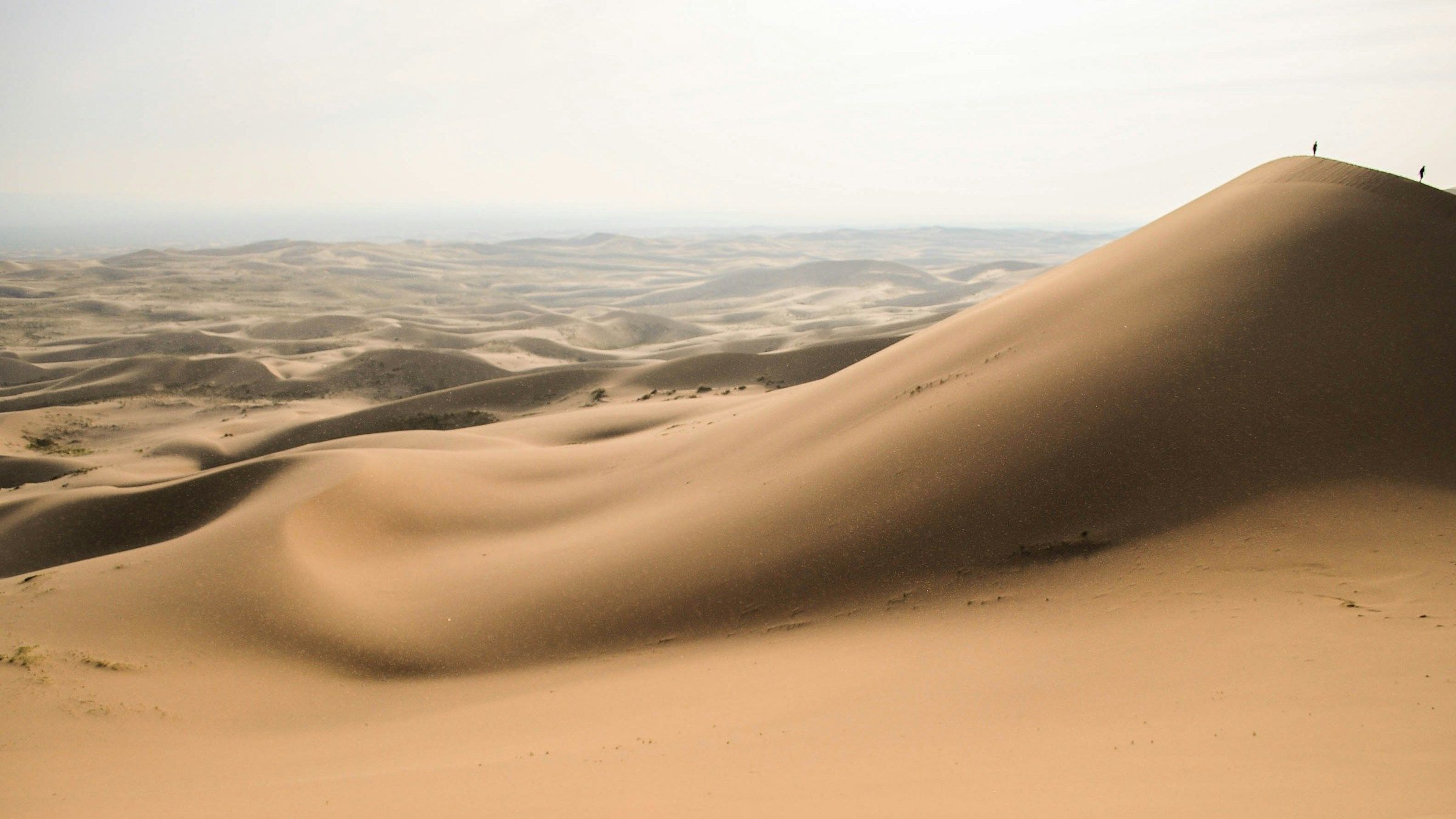 これらの国には、世界最大の砂漠があります