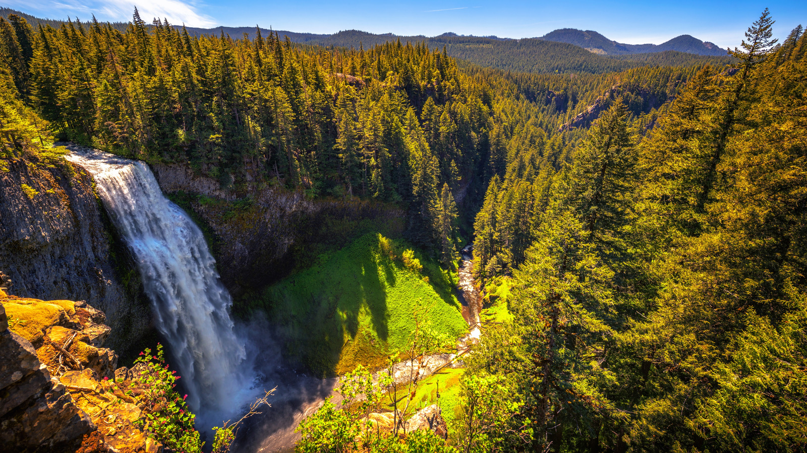 オレゴン州で2番目に高いシングルドロップウォーターフォールは、風光明媚なハイキングトレイルを備えた魅惑的なサイトです