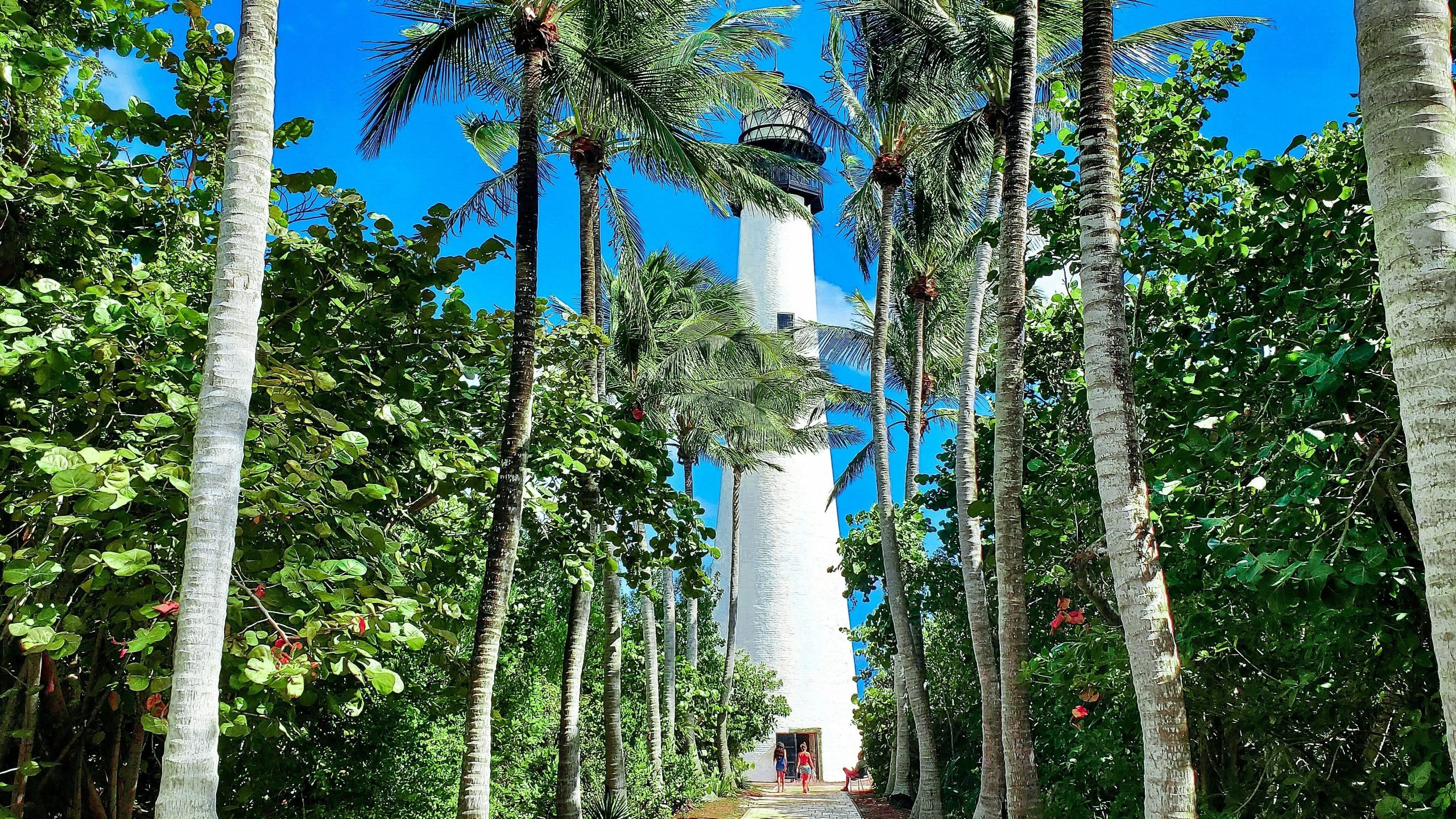 フロリダの過小評価されている都市では、住むことを検討する必要があります