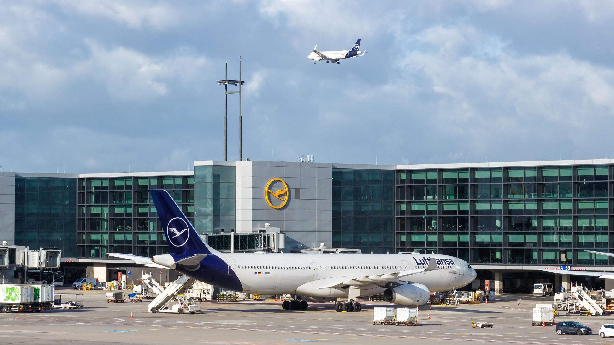 さらに混乱：木曜日と金曜日に再び攻撃を受けるルフタンサのスタッフ