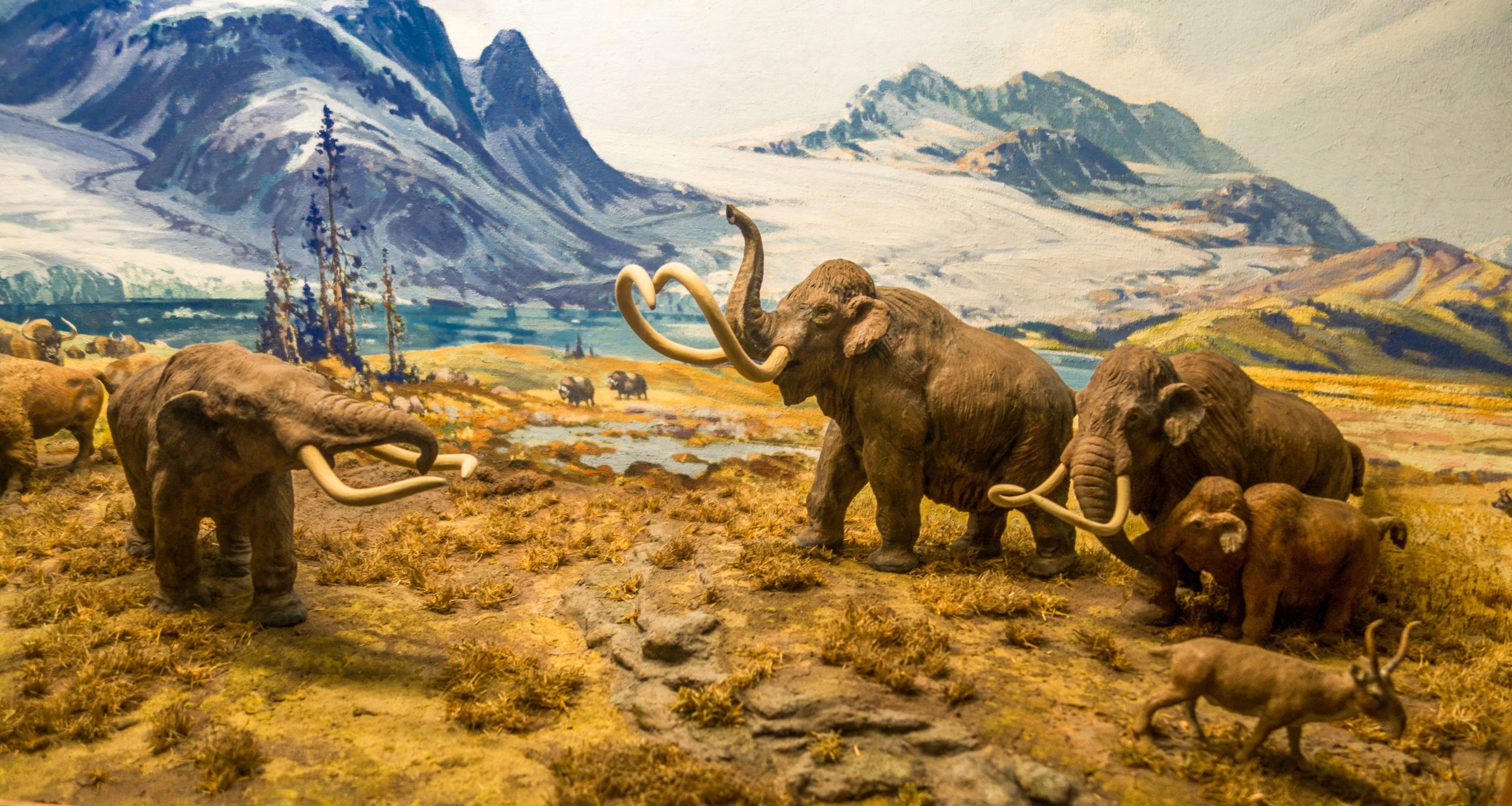 8ニューヨークでこれまでに作られた最も信じられないほどの考古学的発見