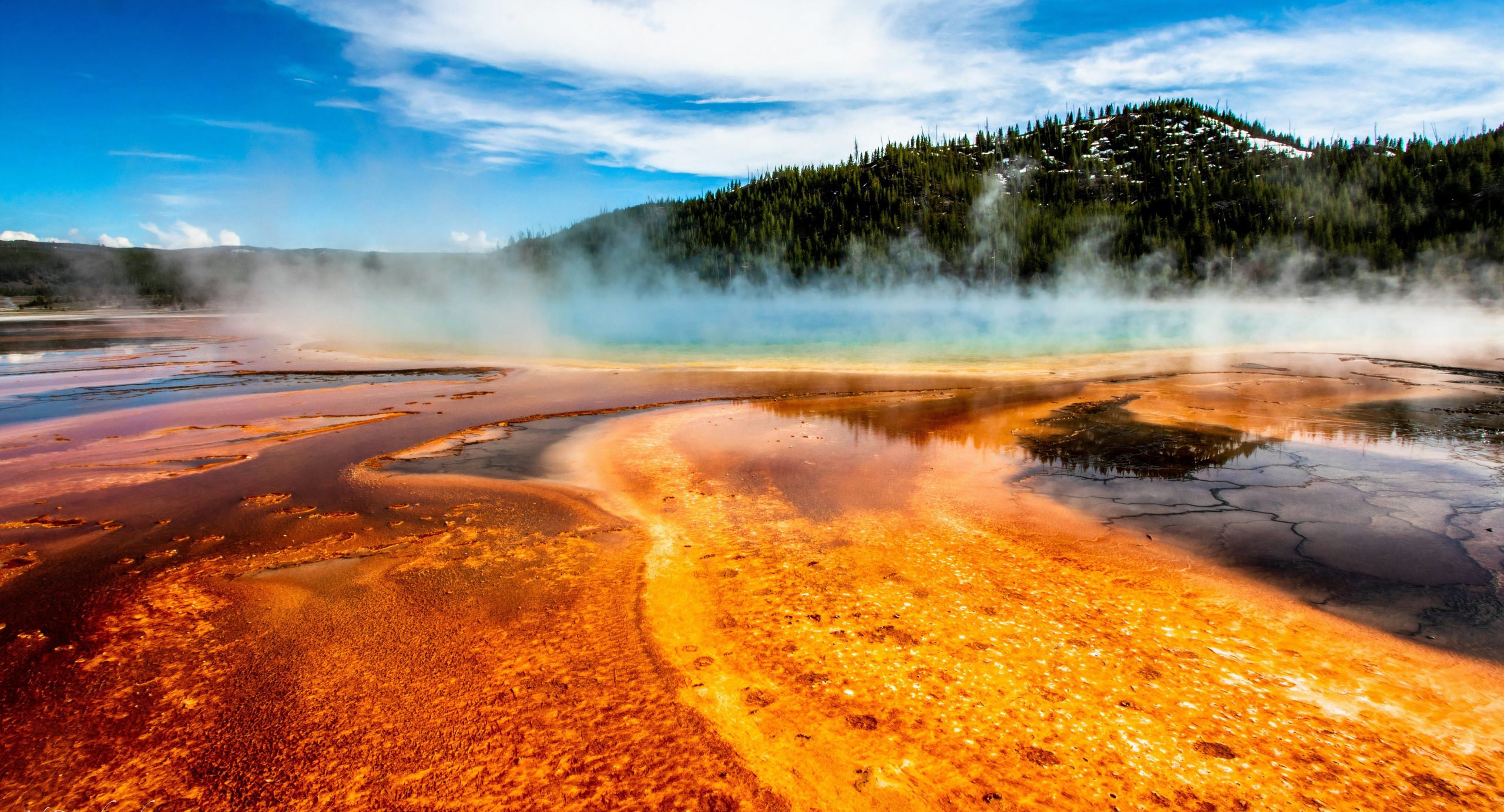 男性はイエローストーン国立公園で死亡する可能性が高い：これが最も一般的な死因です
