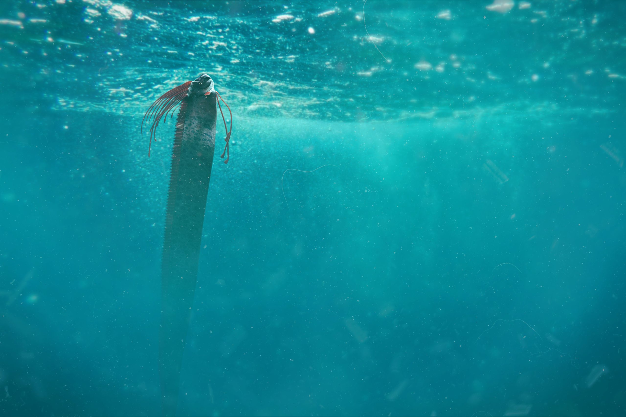 珍しい深海の終末の魚は、バハカリフォルニアスールで陸上に来る：水に戻ることを拒否する