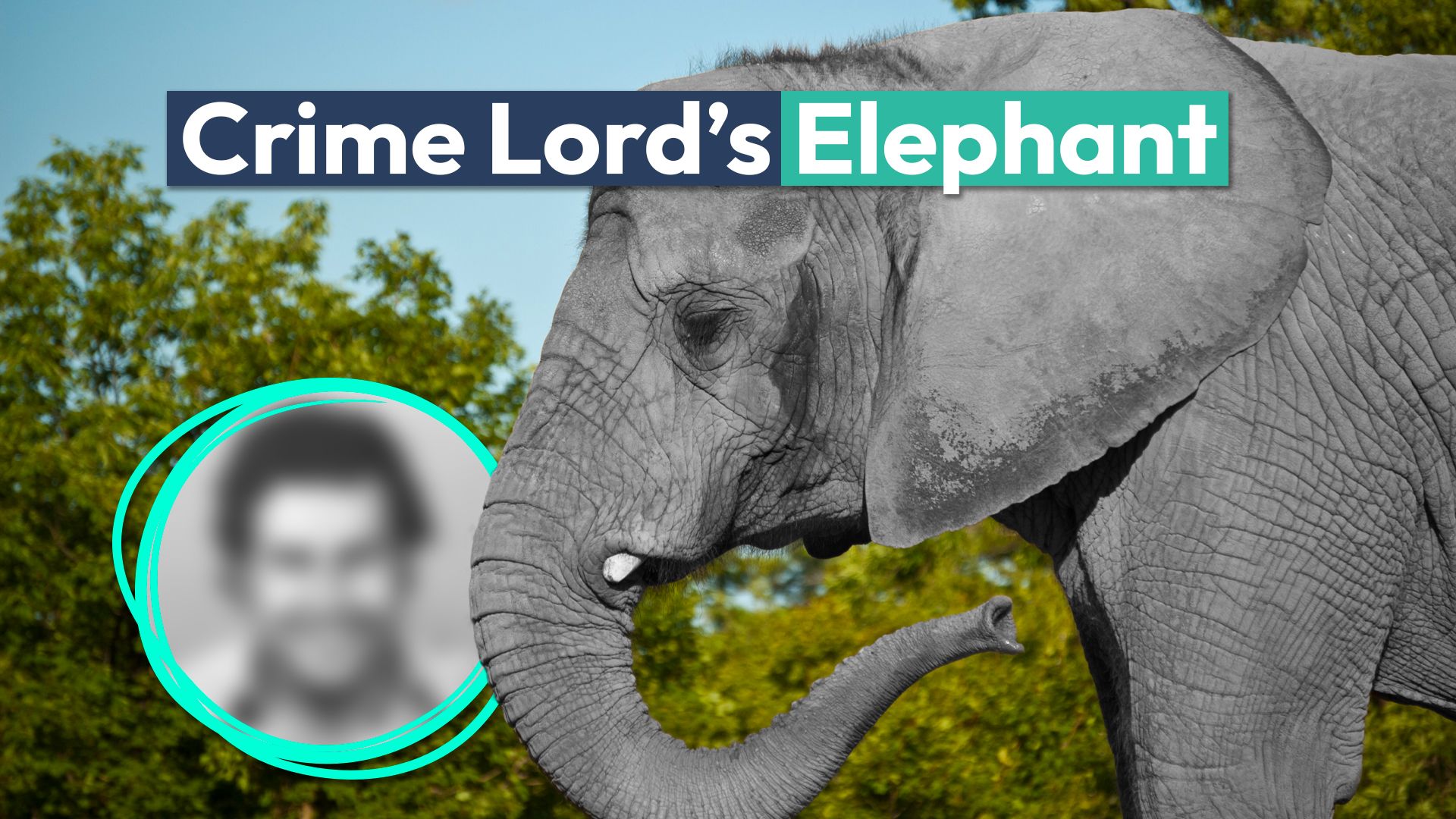 歴史上最も悪名高い犯罪領主の一人が所有するペットの象が亡くなりました