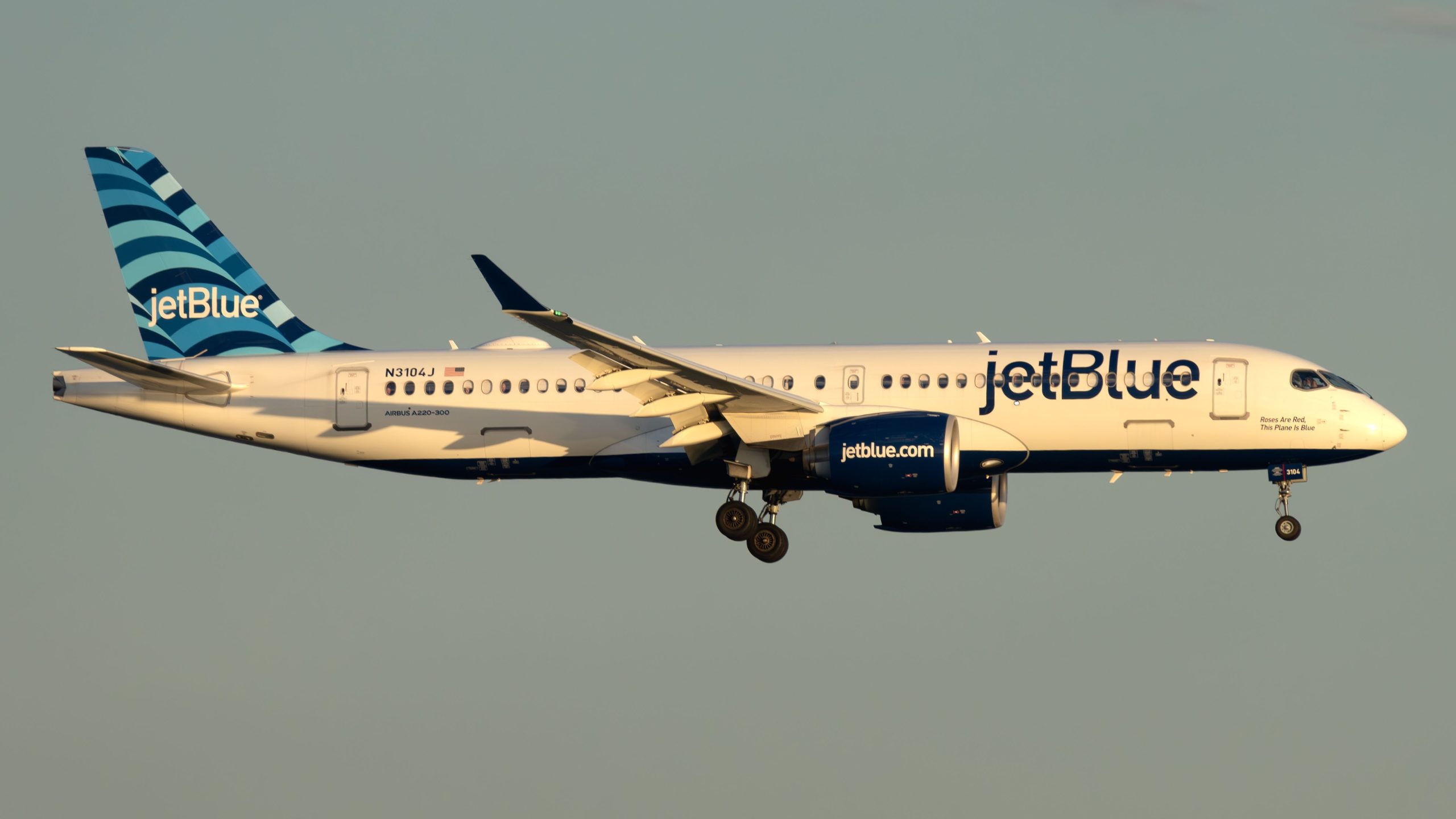 夏の太陽：これらはすべて米国カリブ海のエアバスA220ルートです