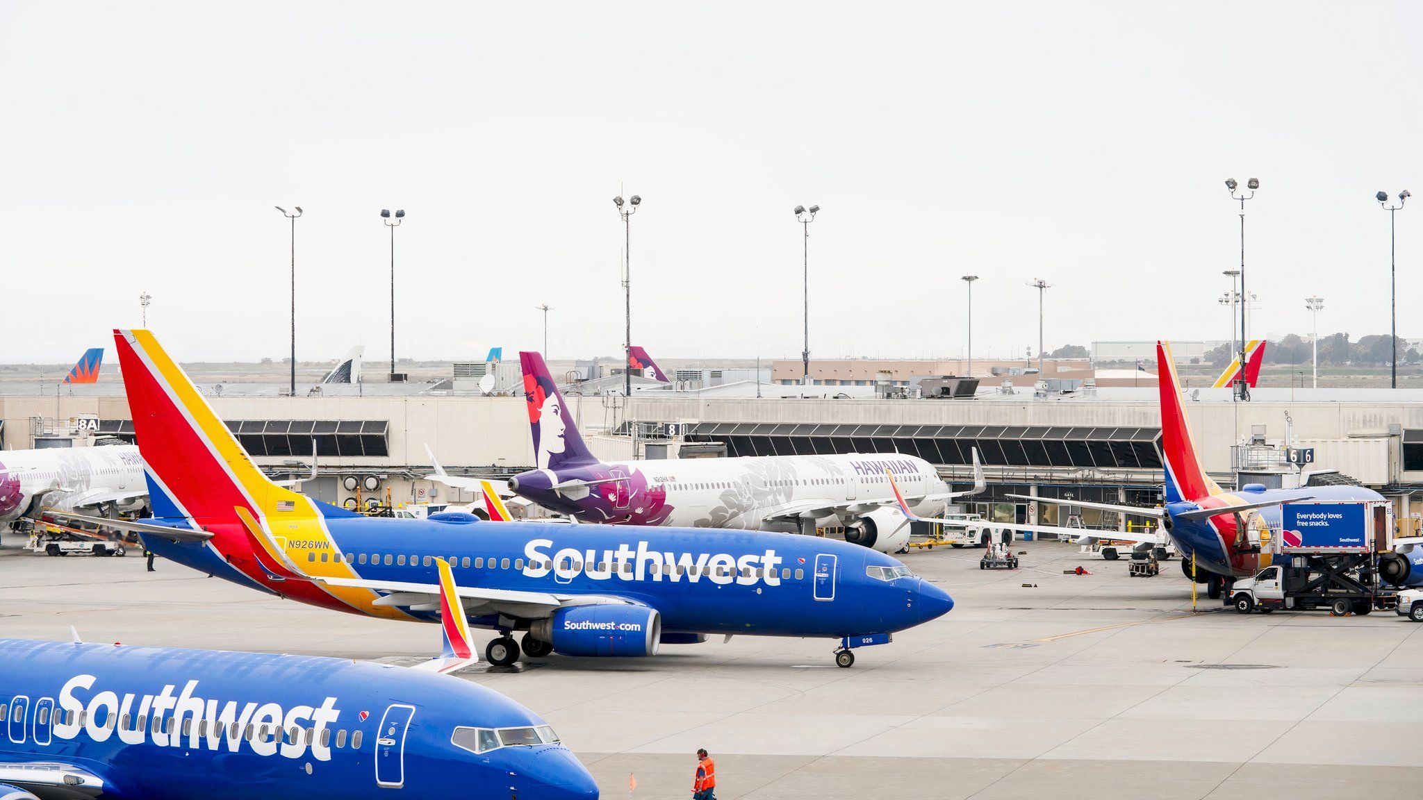 オークランド空港の名前変更に対する偏光応答