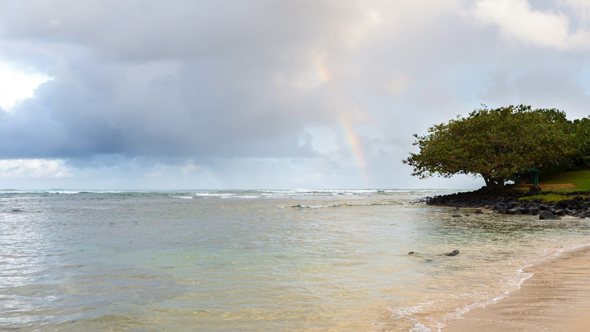 アメリカの最大の州の8つの州が4.5フィートを超える雨が降っています