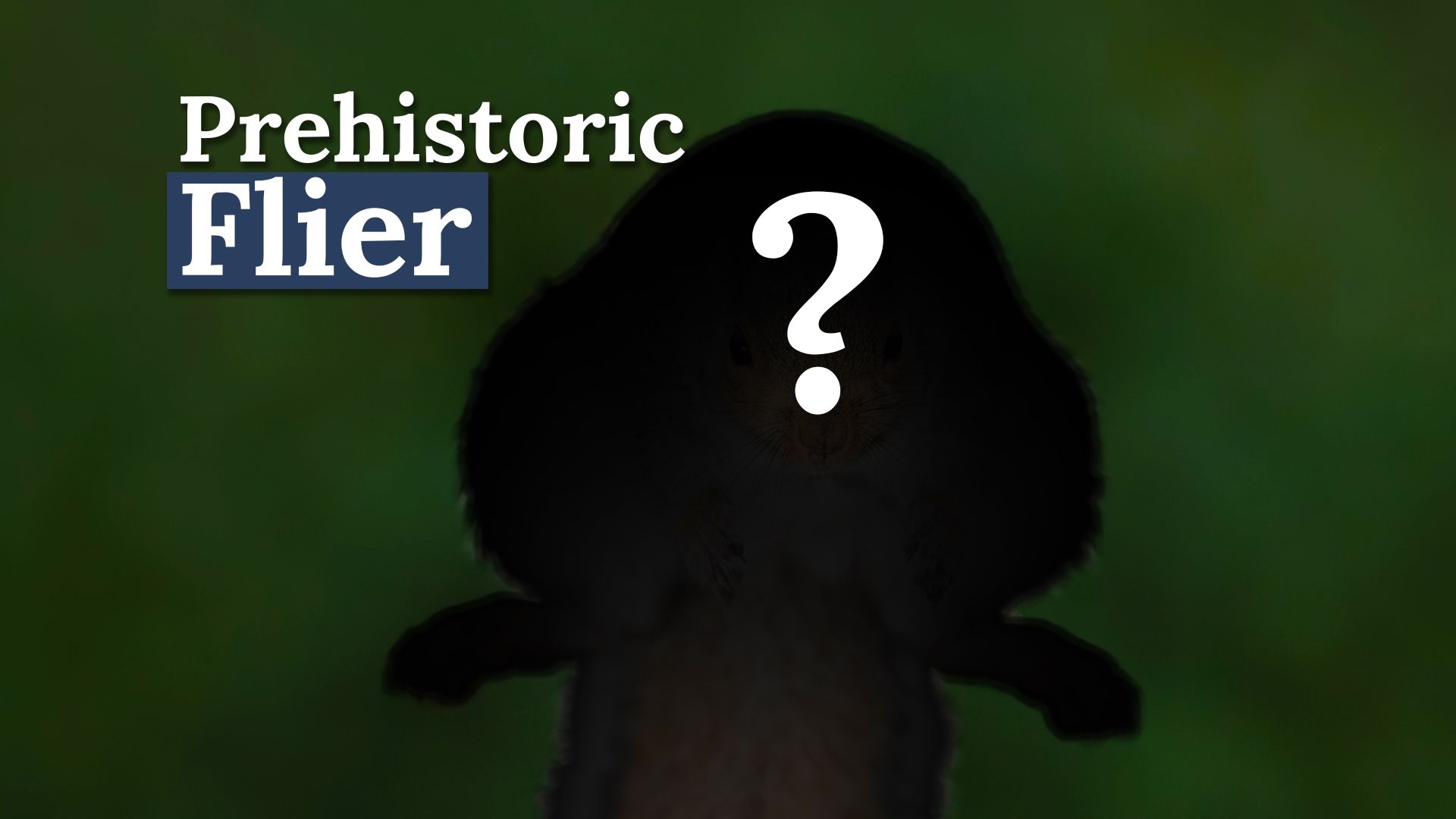 科学者は、かつてテネシーに住んでいた奇妙な巨大な飛ぶ生き物を明らかにします