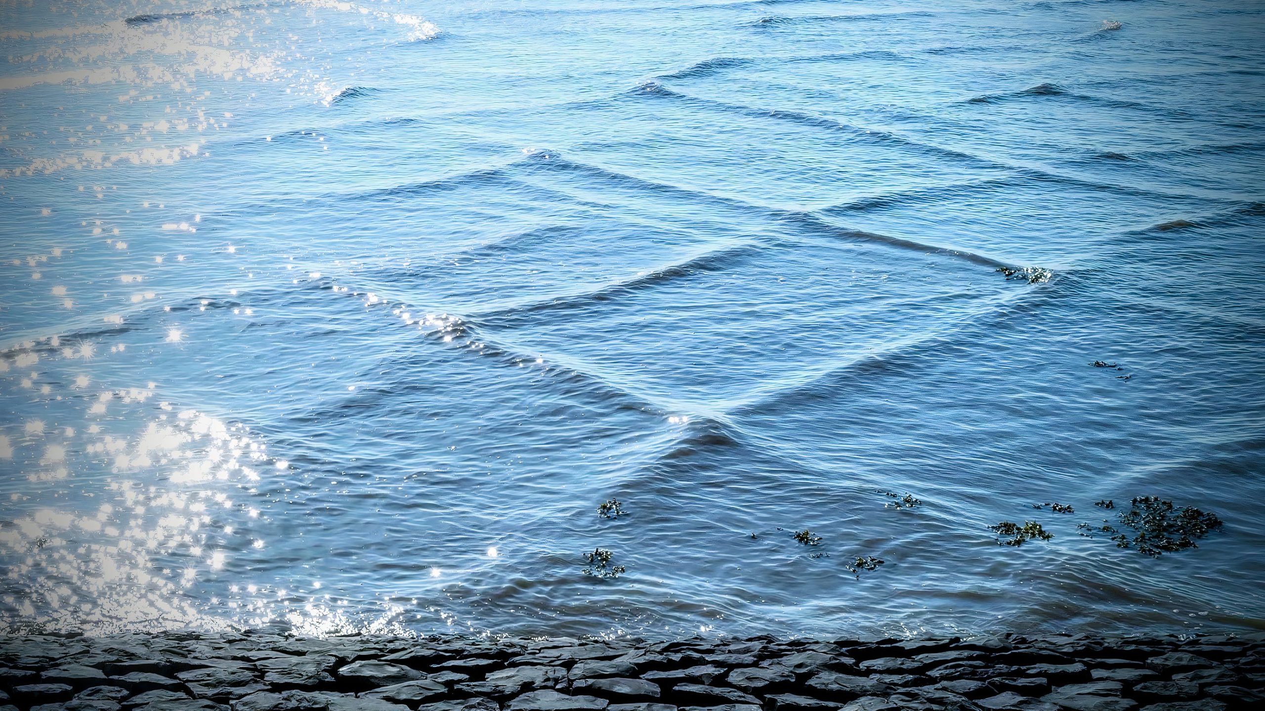 なぜ「正方形」が水から抜け出す必要があることを意味するのか