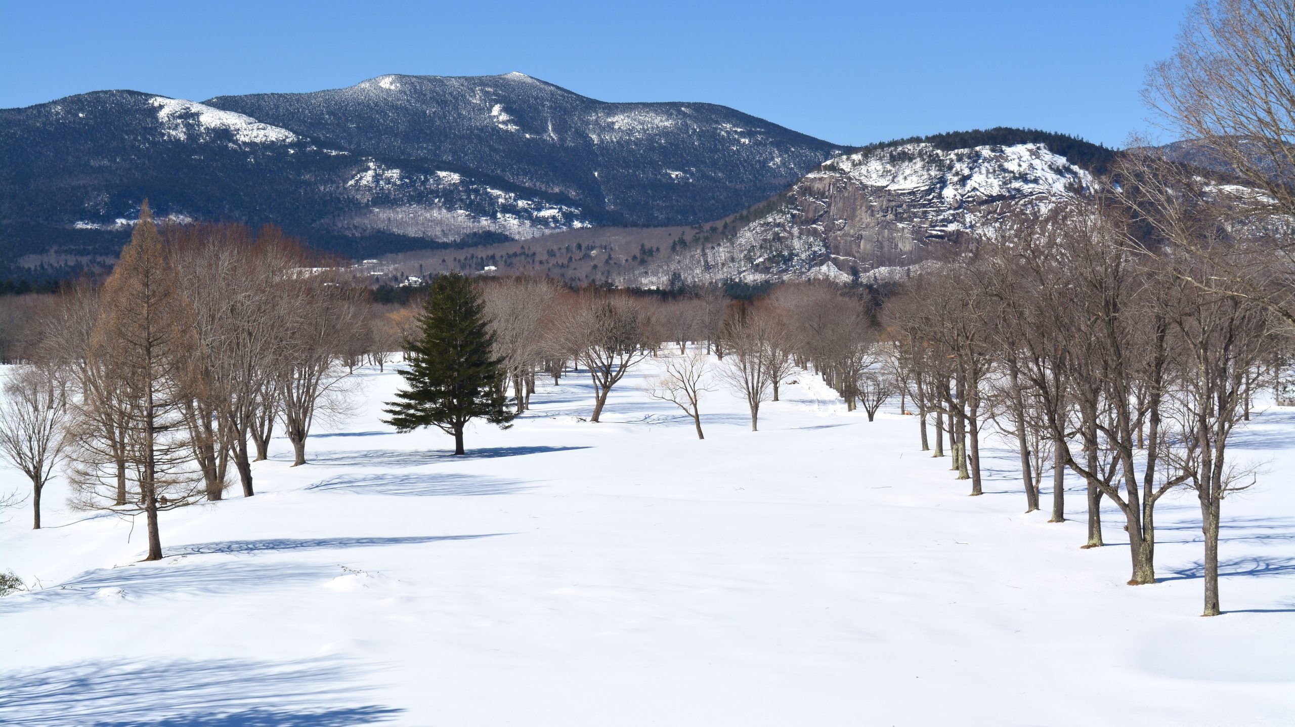 クリスマスのためにラップランドのように見える北東部で8つの最高の小さな町