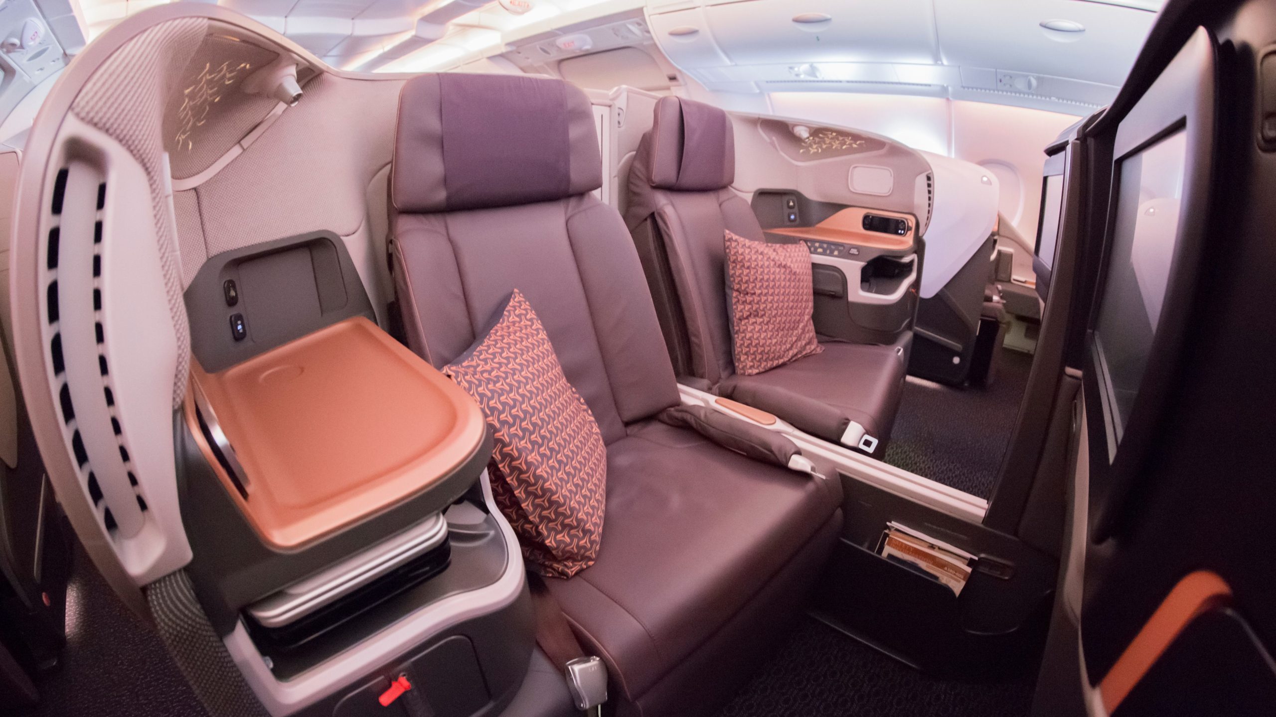 スポット：シンガポール航空のビジネスクラスでのダルメシアンハエは日本へ