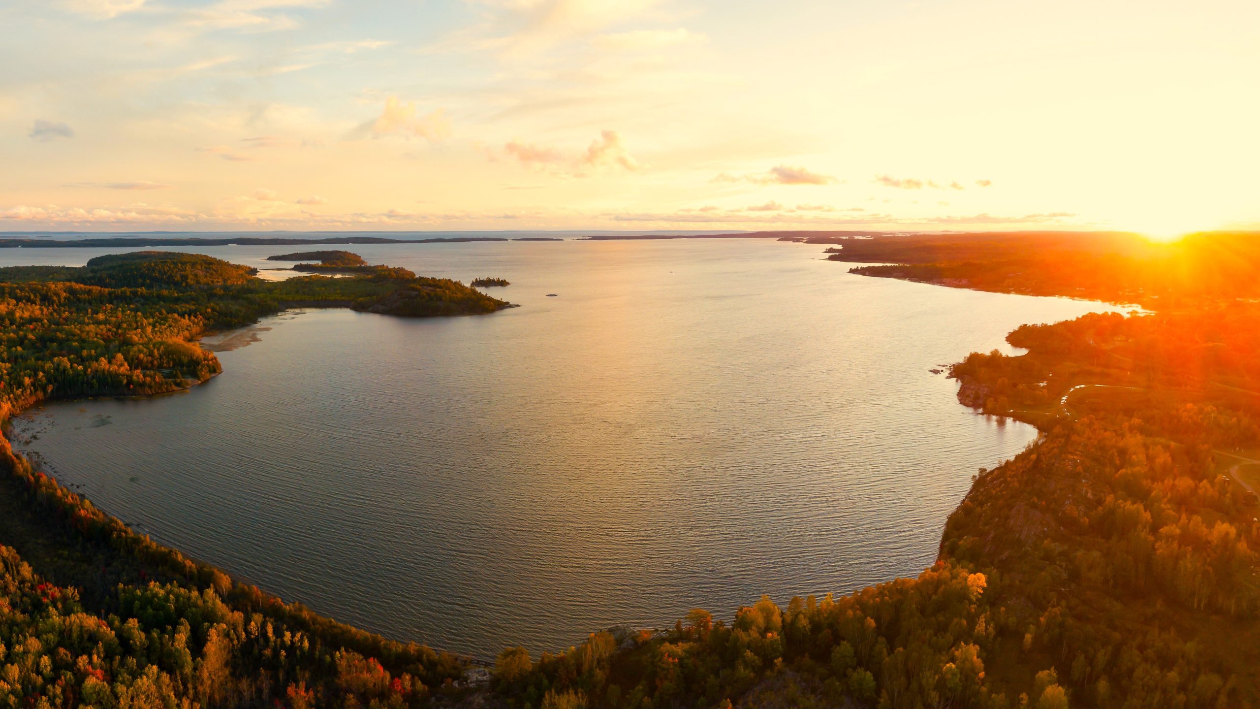 五大湖にはサメがいますか？いいえ、しかし彼らはこれらを持っています