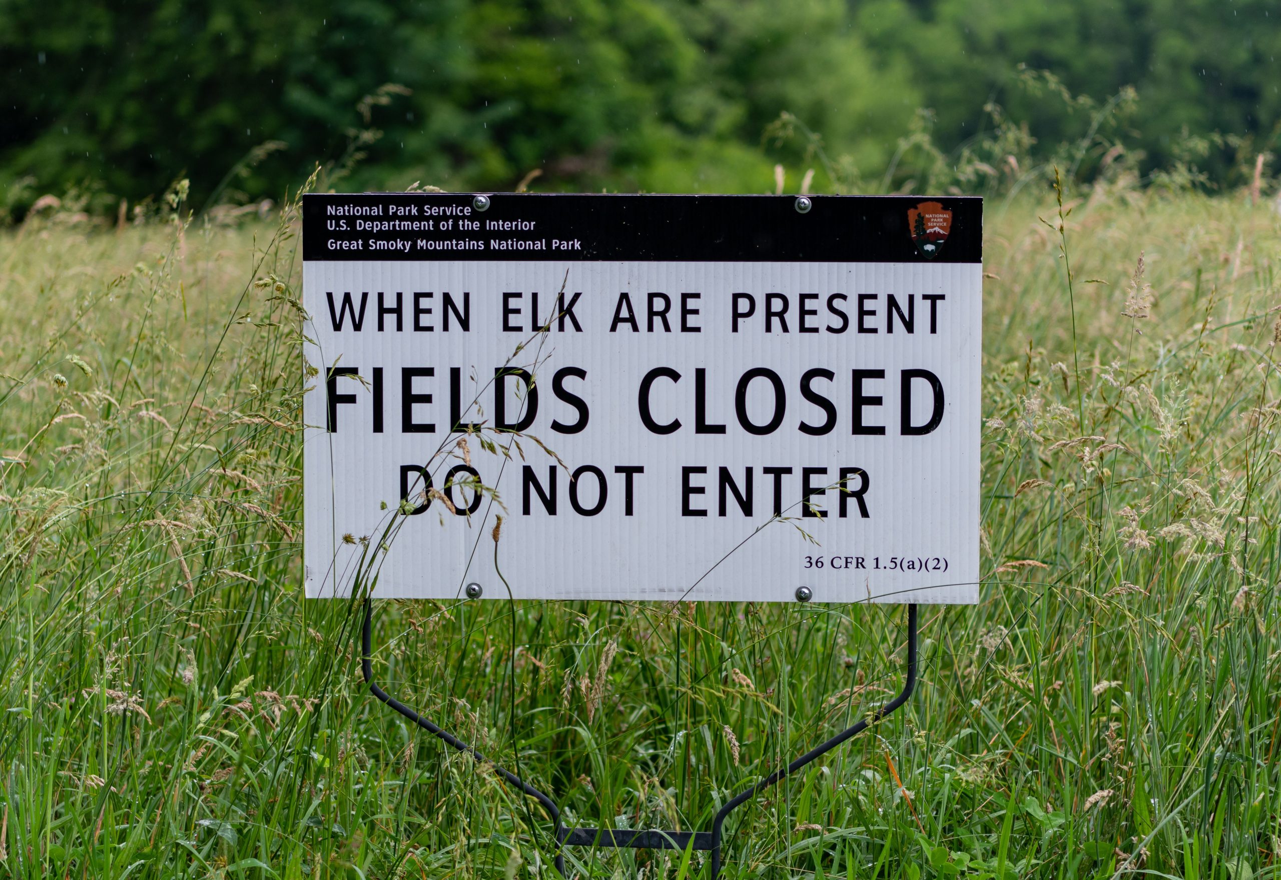 グレートスモーキーマウンテンはフェンスを追加し、ホワイトオークシンクスエリアにグループサイズを制限します