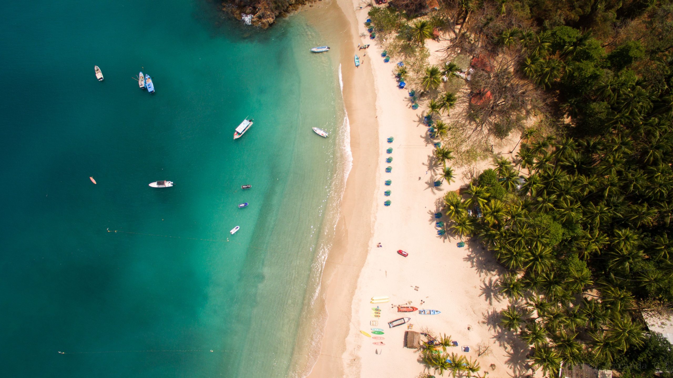 世界で最も年長の人々はこれらの7か国から来ています