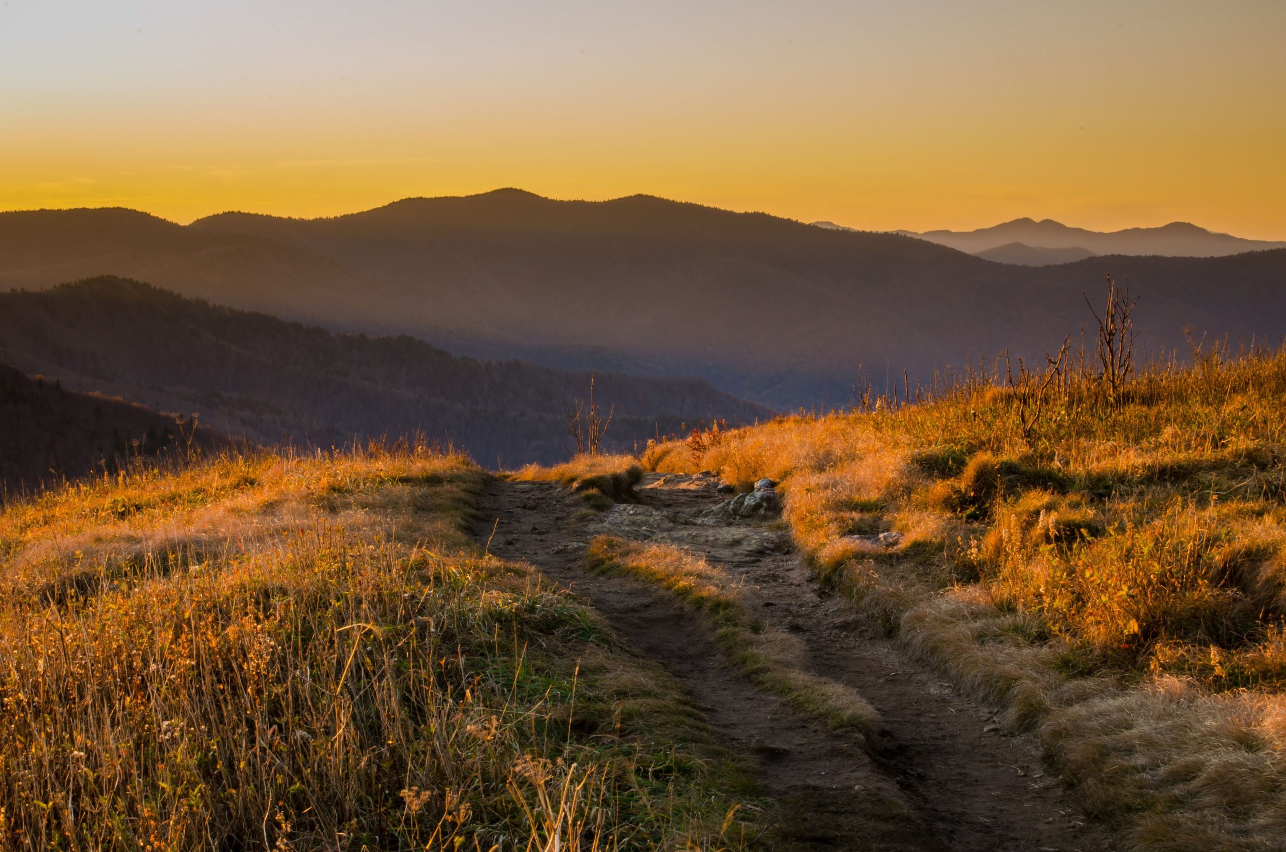 ノースカロライナ州で最も標高の増加を伴う7つの急なハイキング