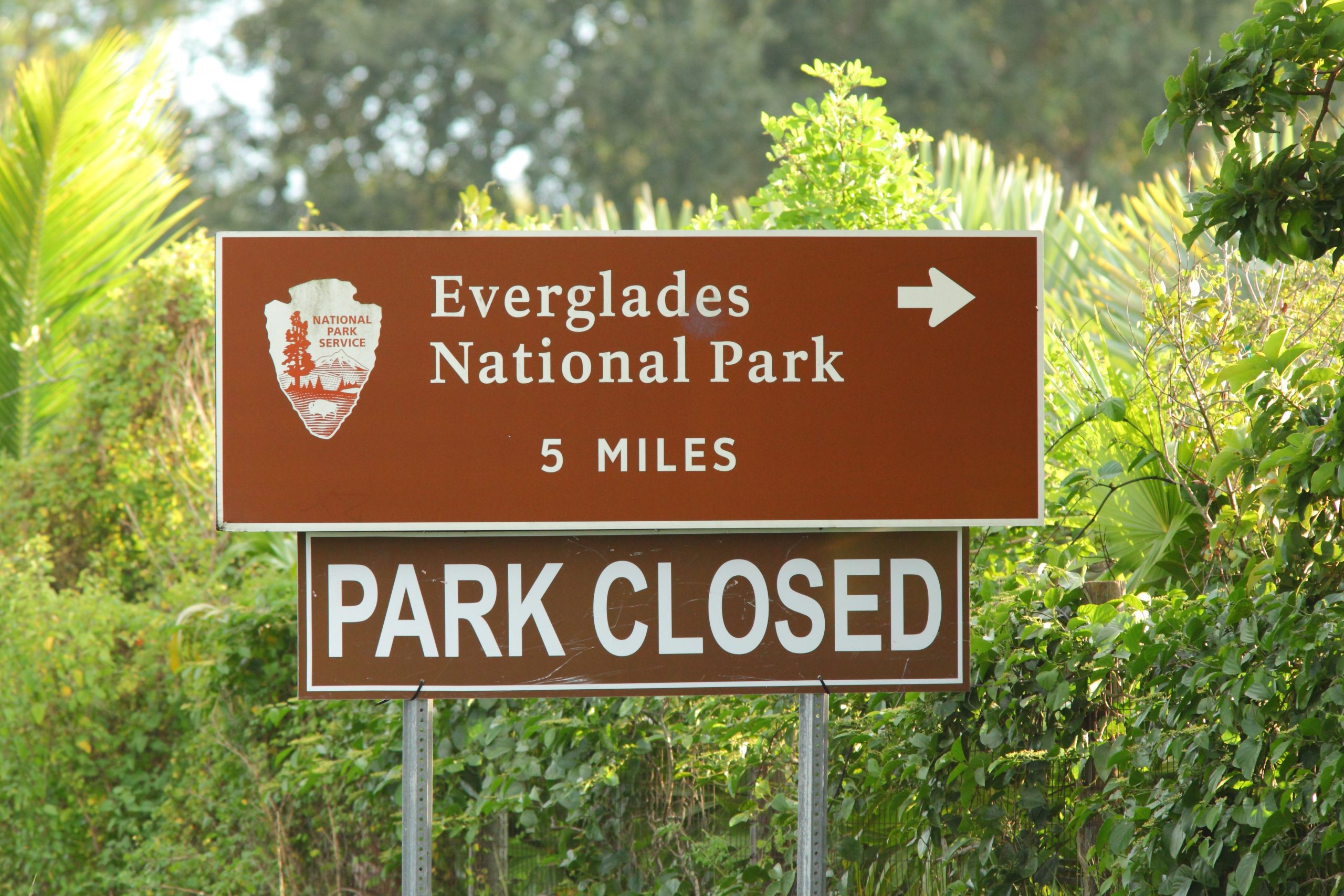 より多くの国立公園サービスのサイトが時間の短縮とキャンプ場の閉鎖を発表します