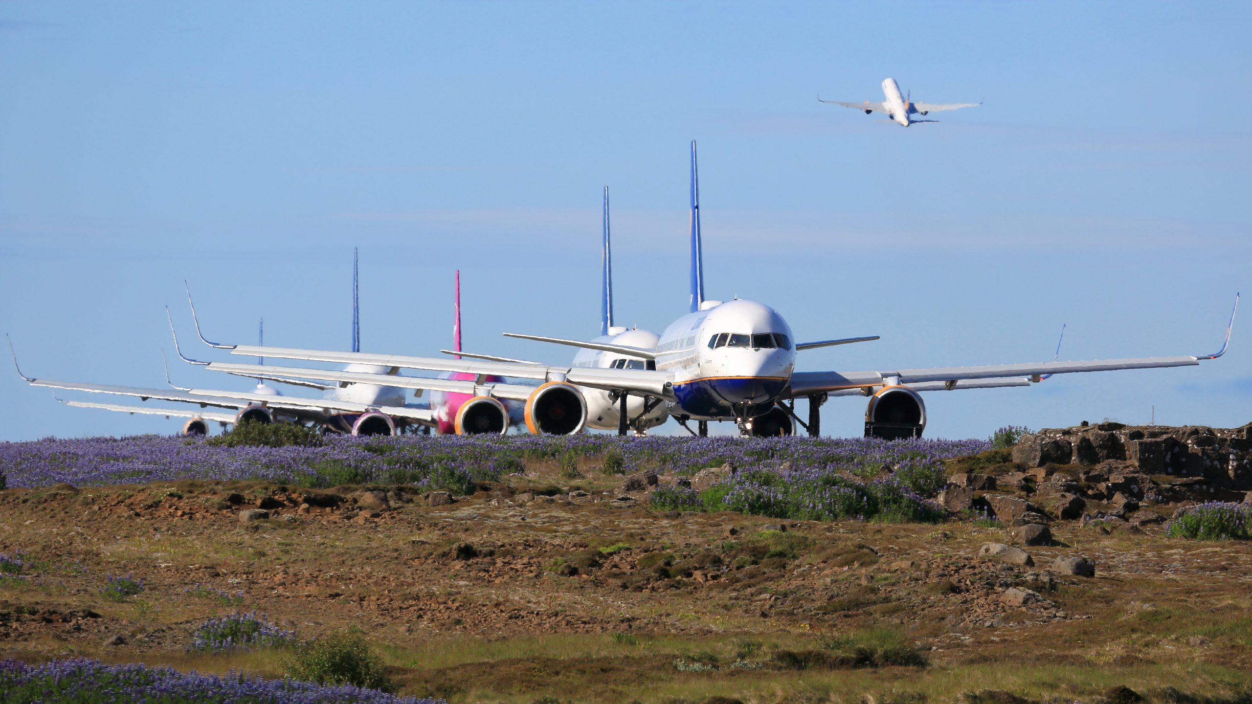 うわー：グローバルIT停止後の金曜日に6,855便がキャンセルされました