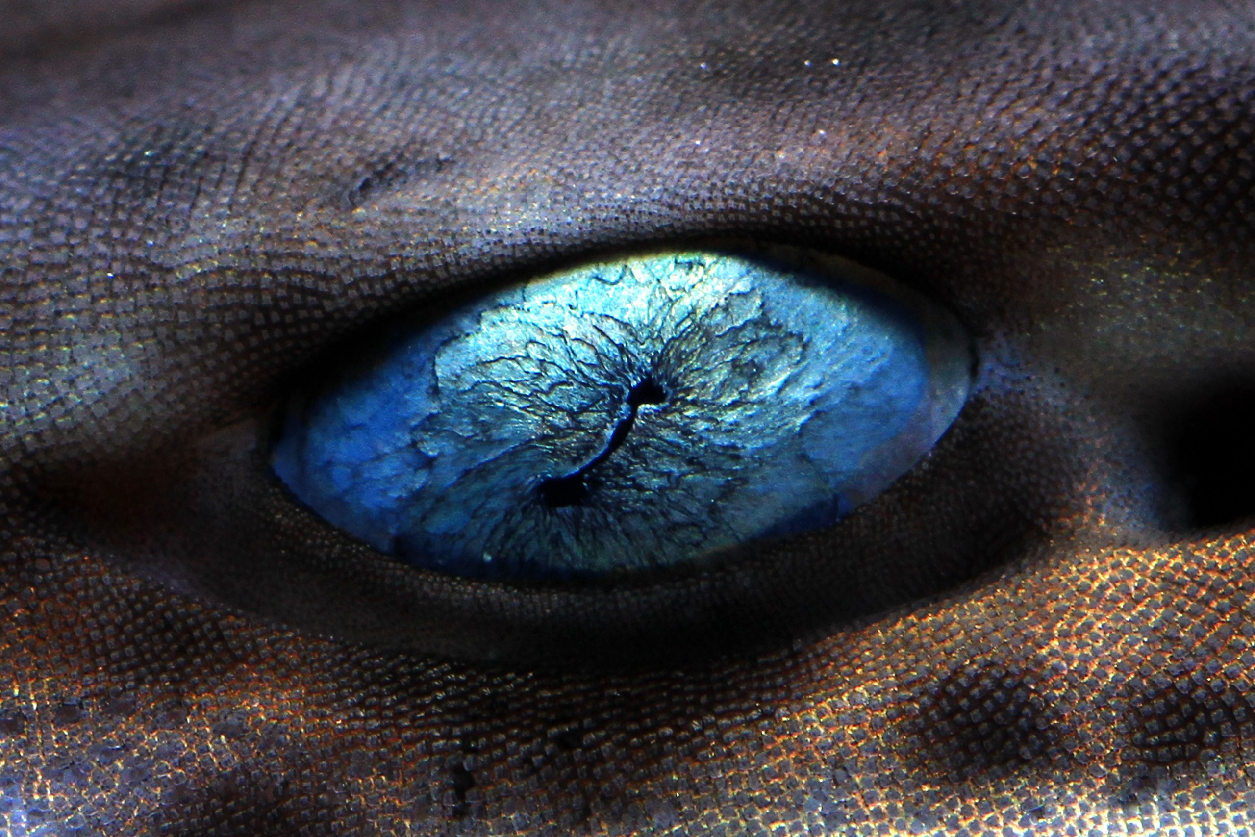 今日も生きているこの頂点の捕食者は木より5,000万歳年上です