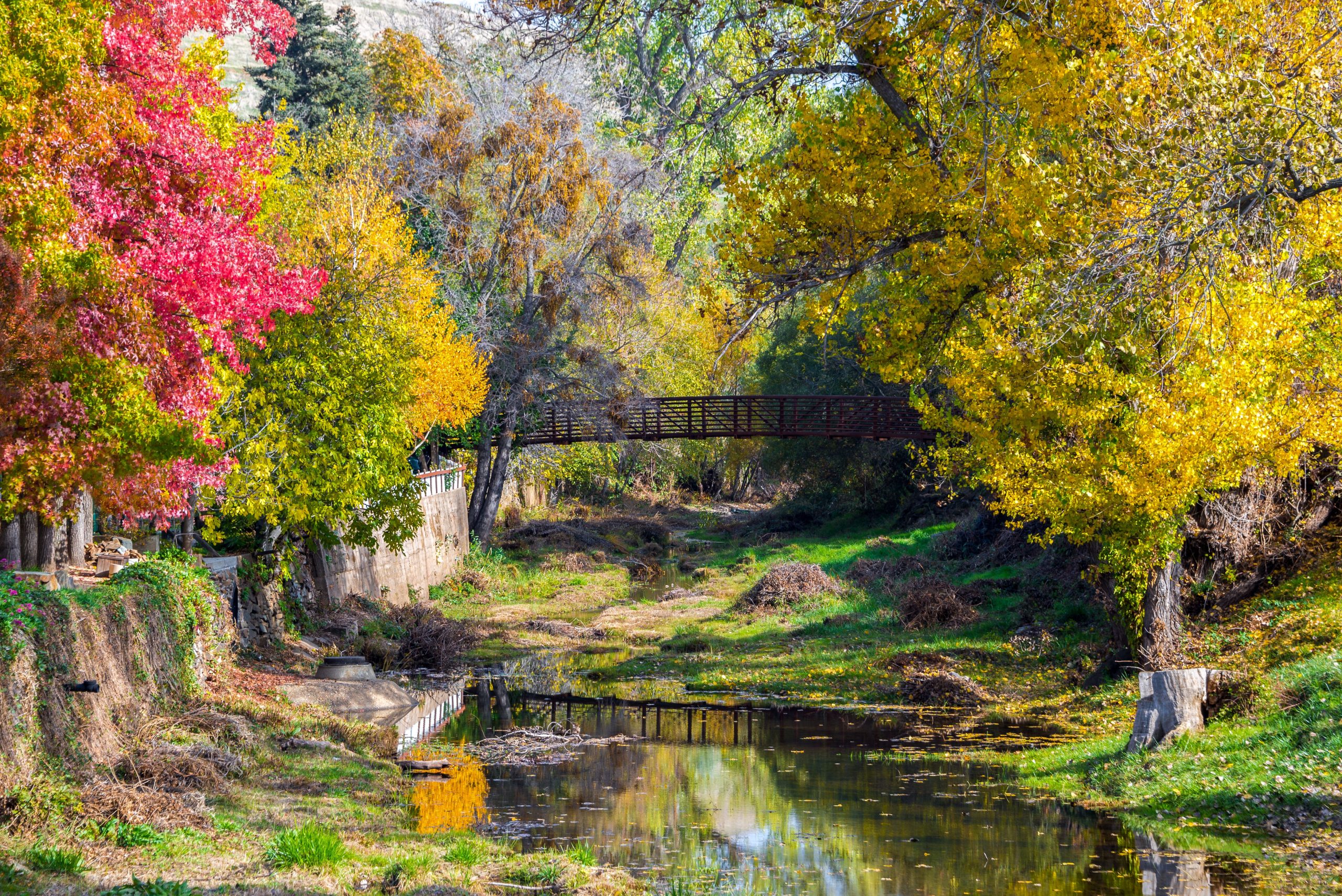 カリフォルニアで最も魅力的で過小評価されているマウンテンタウンは、シエラネバダの丘陵地帯にあります