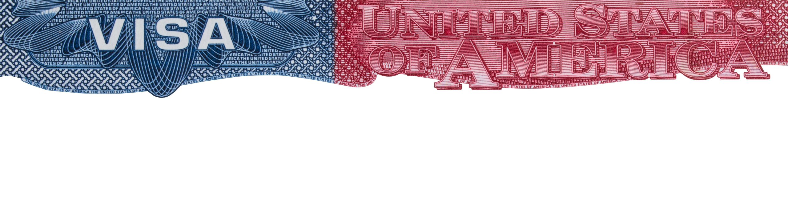 これがビザなしで米国に入ることができる人です（＆できない人）