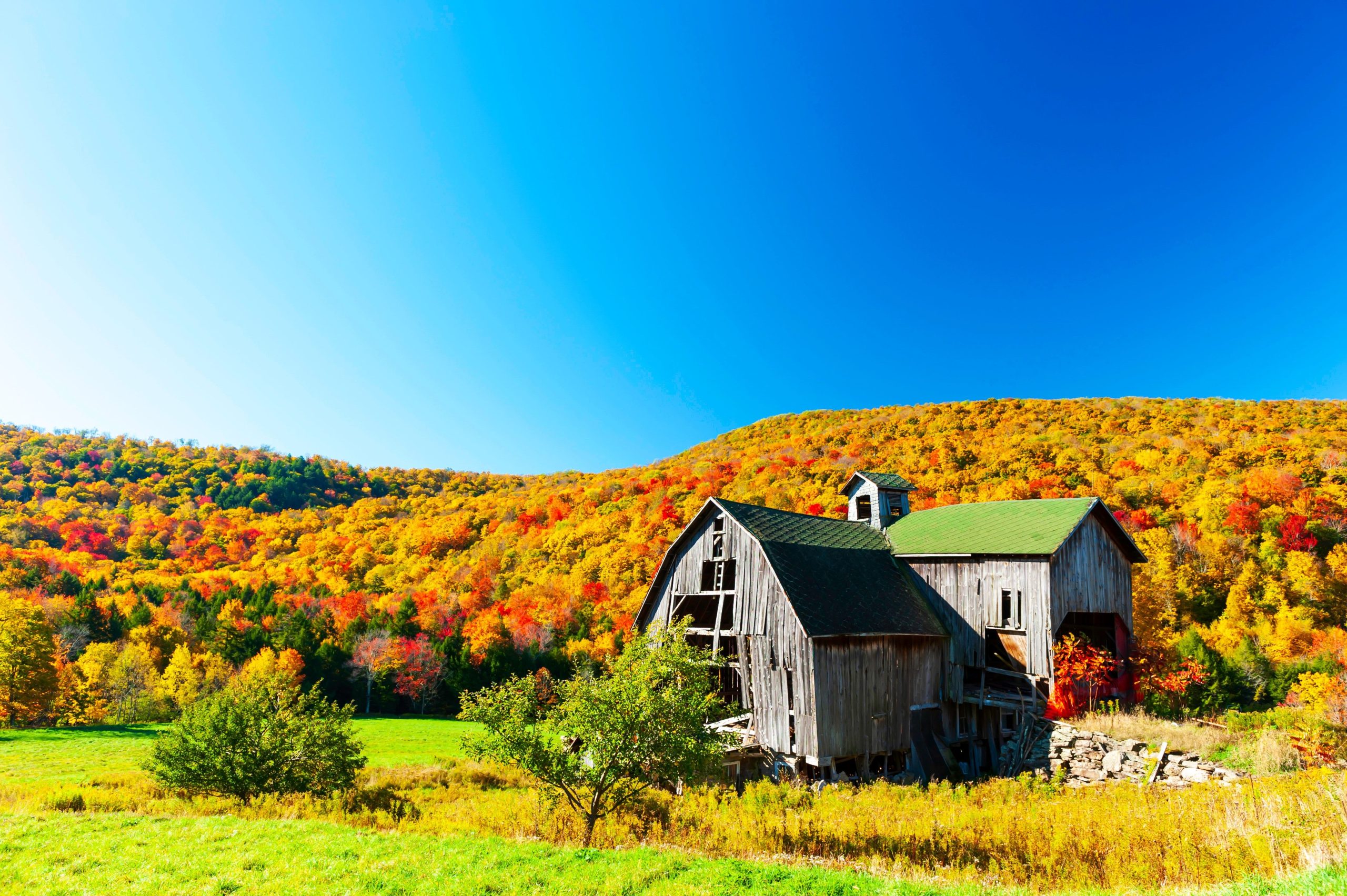 この古いニューヨークのキャッツキルファームは、信じられないほどの「世界最大」を隠しています