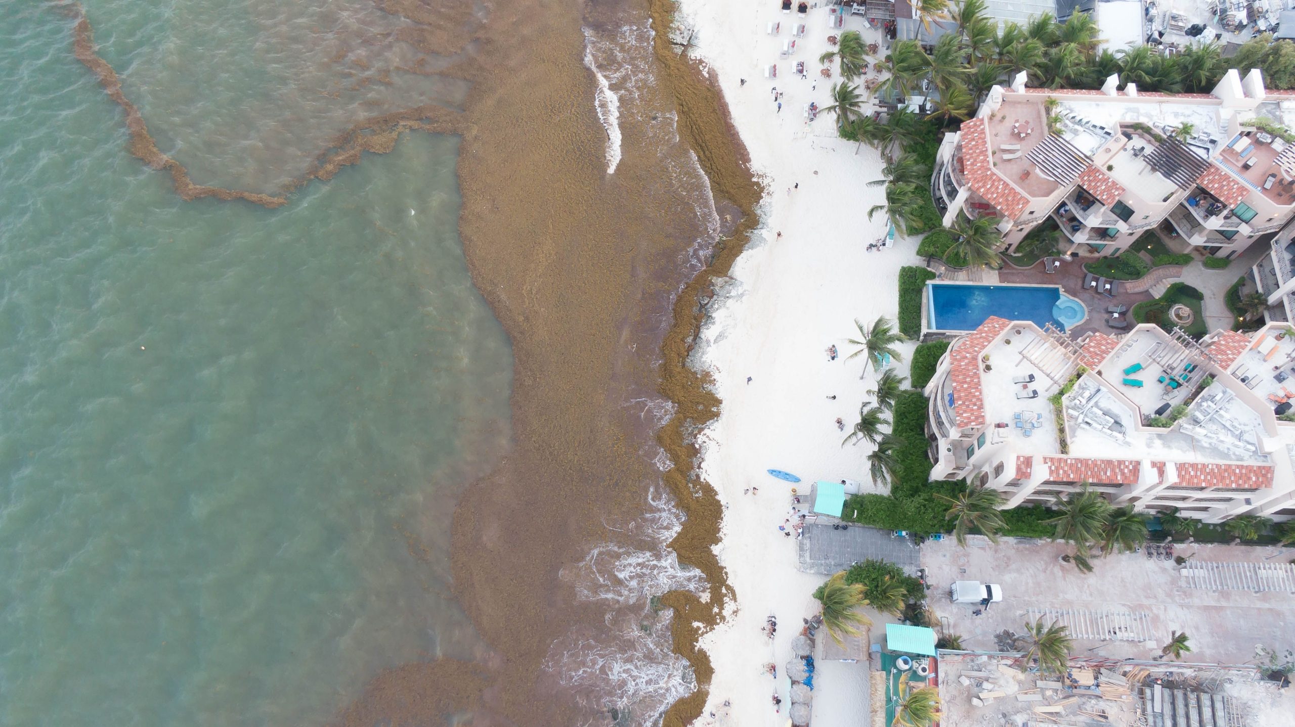メキシコ政府は、国内で最も人気のある観光ビーチの1つを救うために介入します