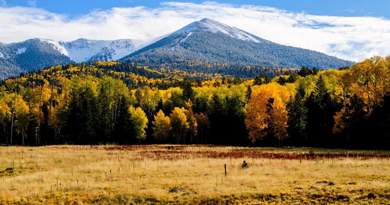 壮大な秋の色を見ることができる驚くべきアリゾナシティ