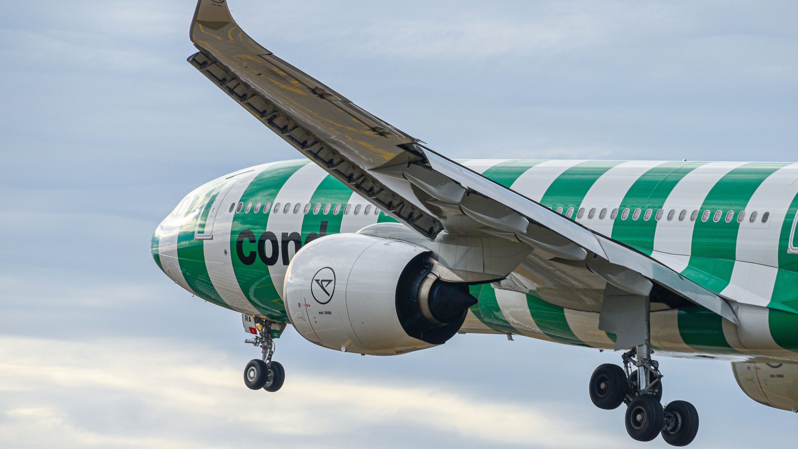 サンノゼ・デル・カボへの新しいTransatlantic Airbus A330neoサービスを発売するコンドル