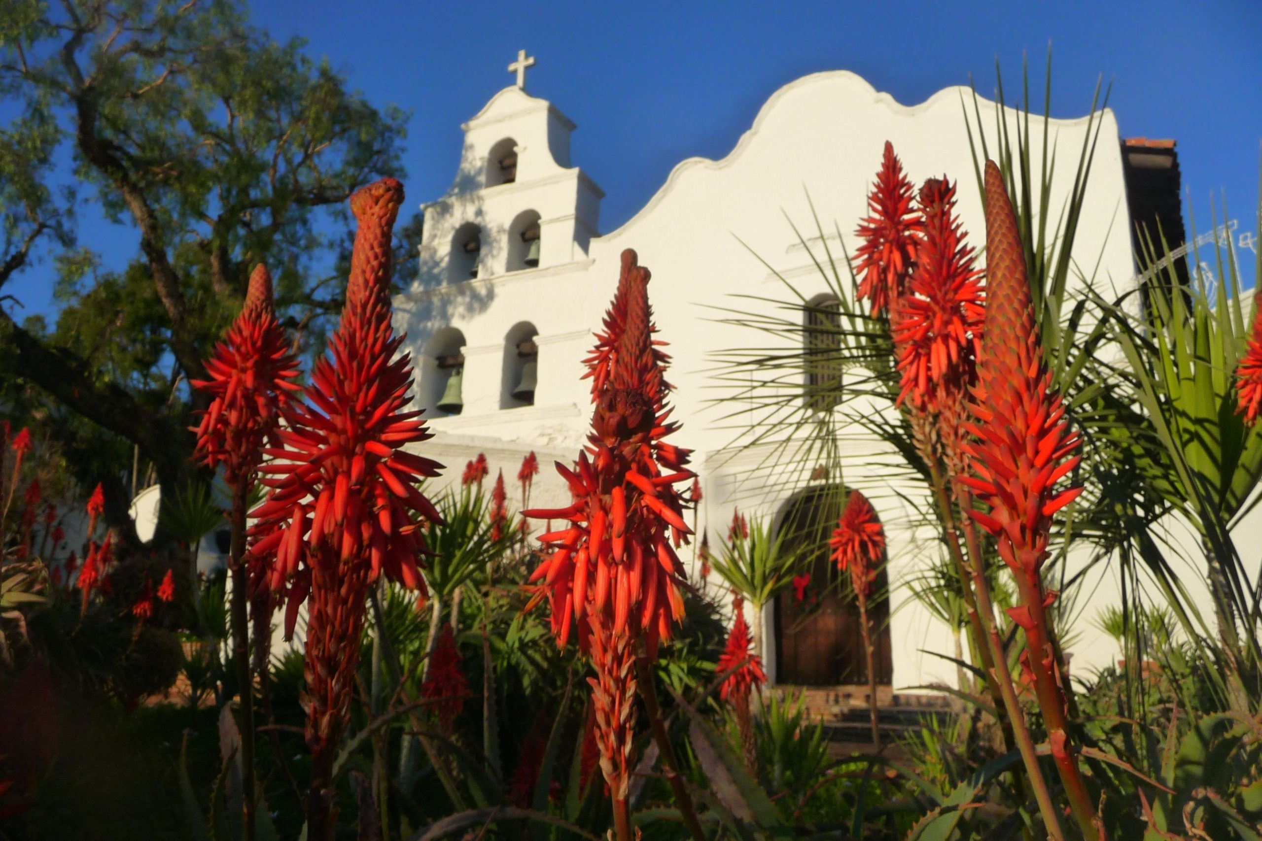 カリフォルニアで最もクールな考古学的発見