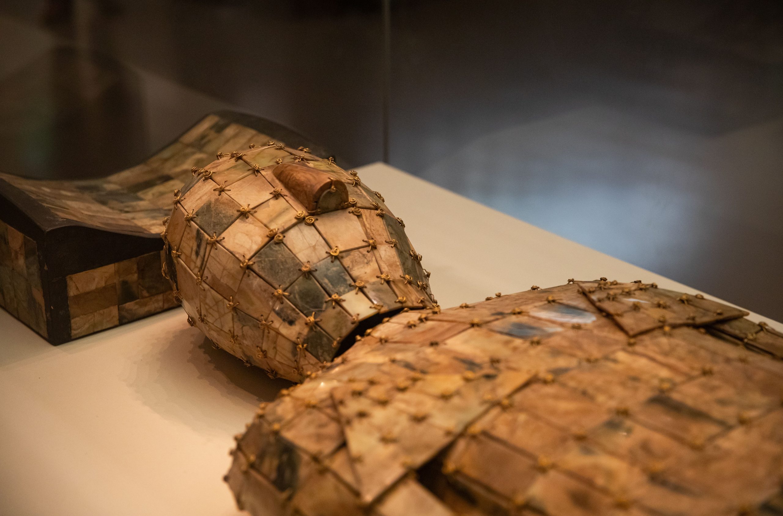 世界最古のチーズは、3、600年前のミイラで発見されました