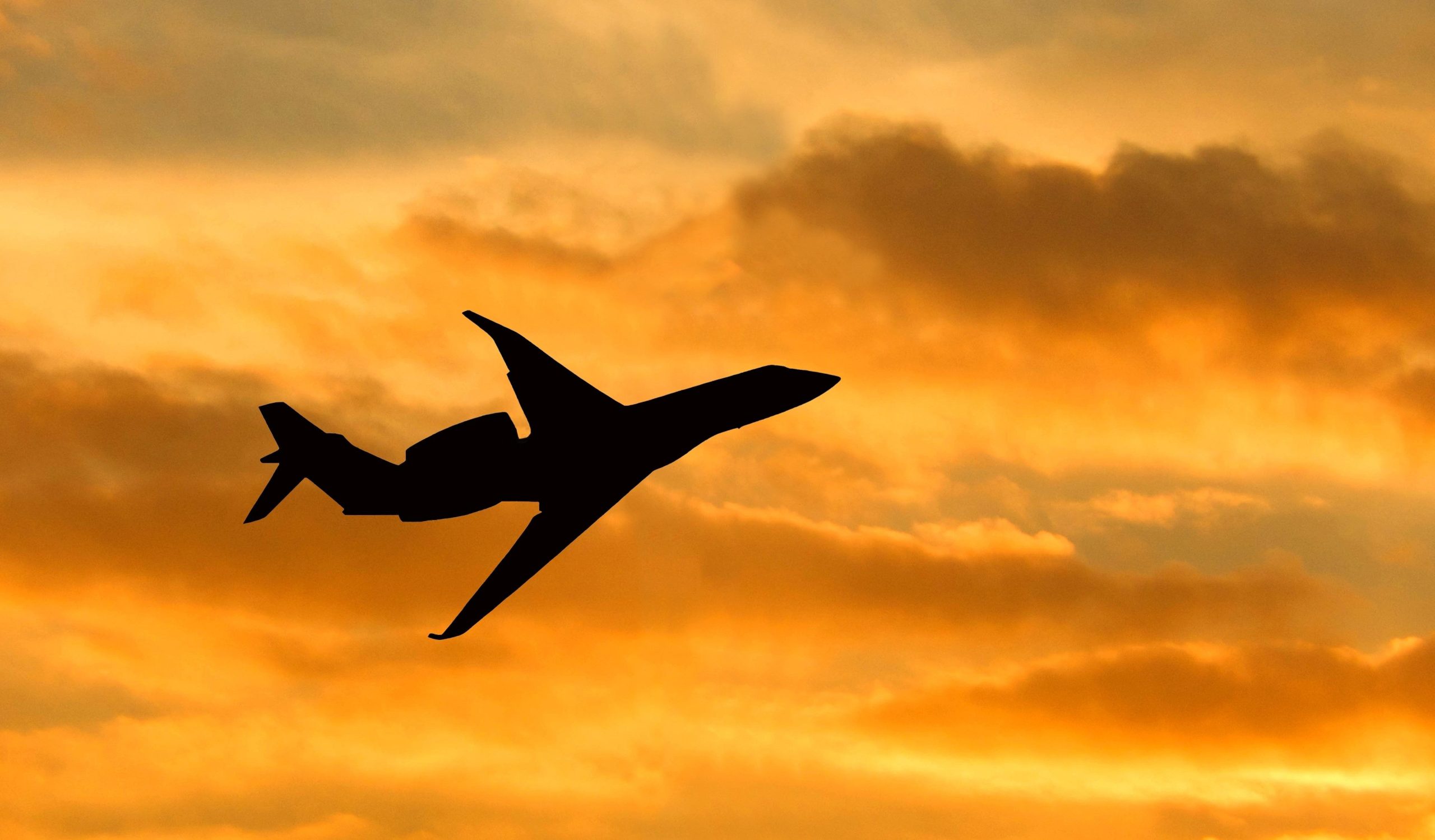 5月にウェストチェスター郡空港から初めての子犬ジェットサービスを開始するための樹皮エア