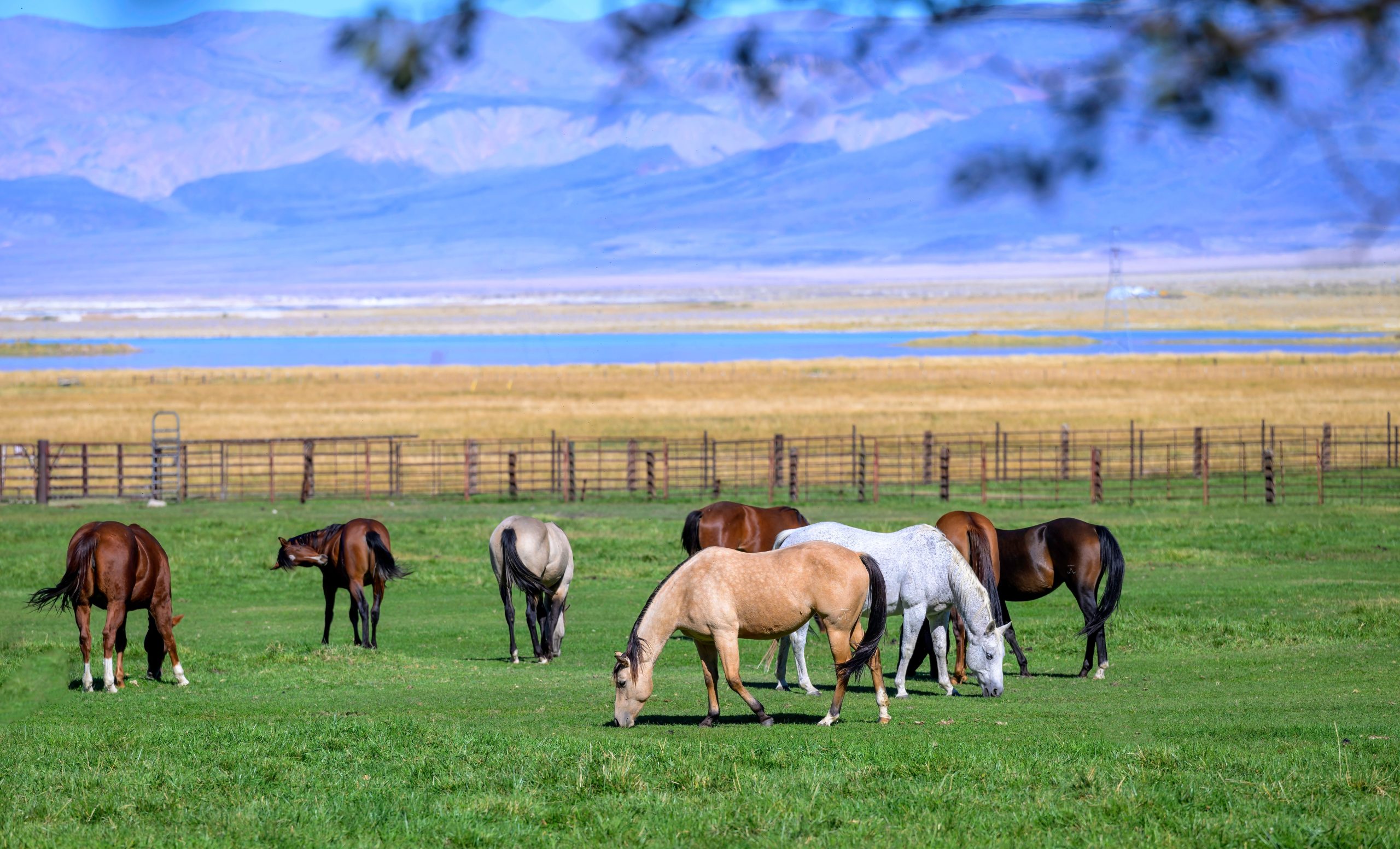 週末のリトリートのためにカリフォルニアの8つの控えめな小さな町