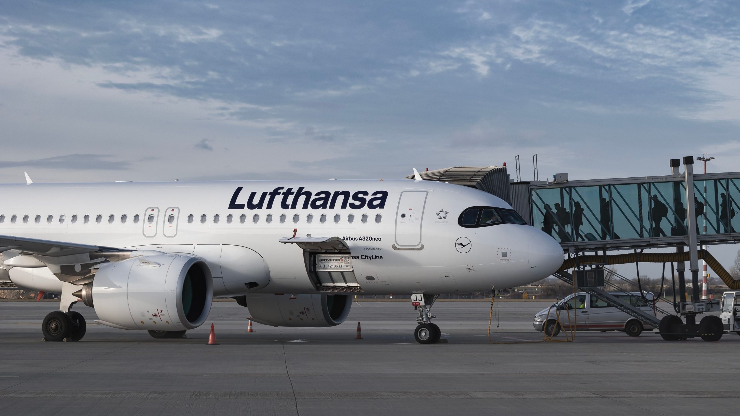 アメリカの歌手Bebe Rexhaは、Lufthansaのスタッフが精神的に彼女を虐待したと主張しています