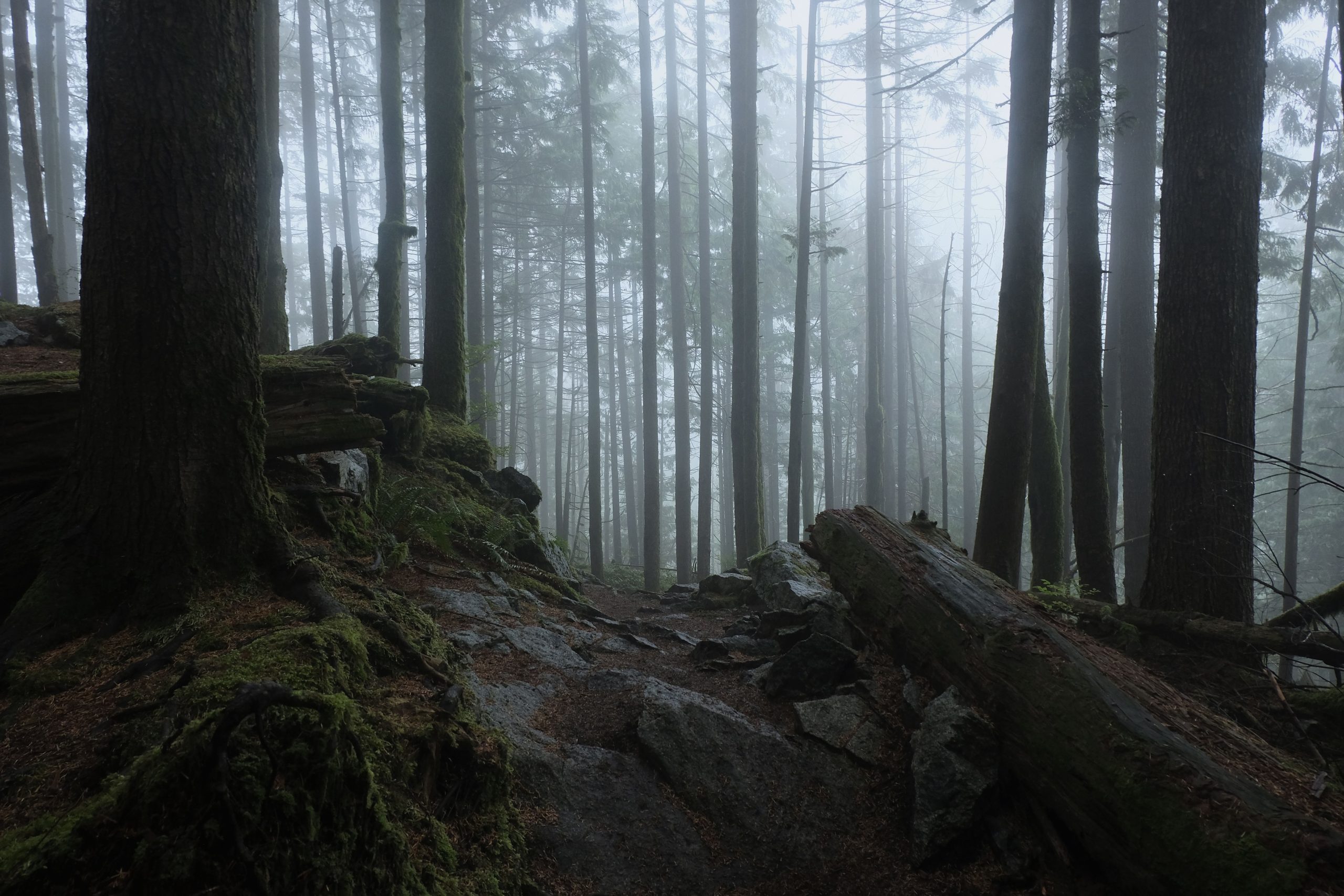 この北米のCryptidは、BigFootよりもさらに恐ろしいです