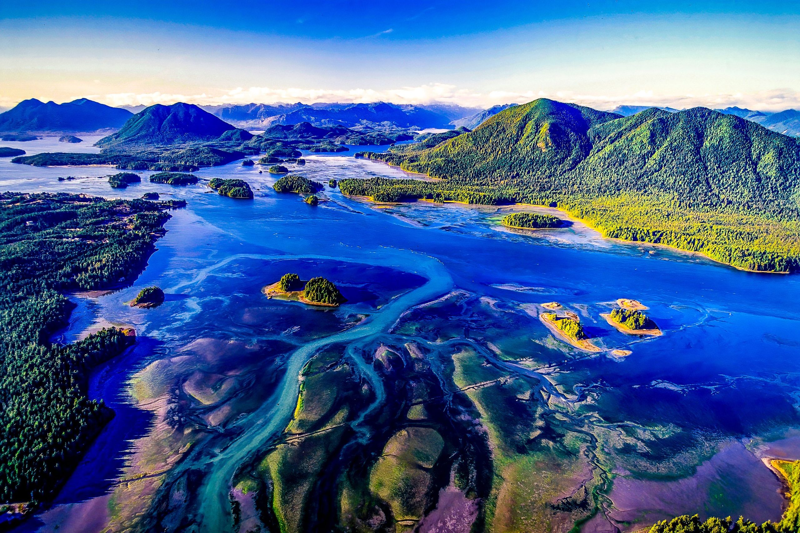 科学者は水中火山で何千もの巨大な卵を発見し、彼らは生きています