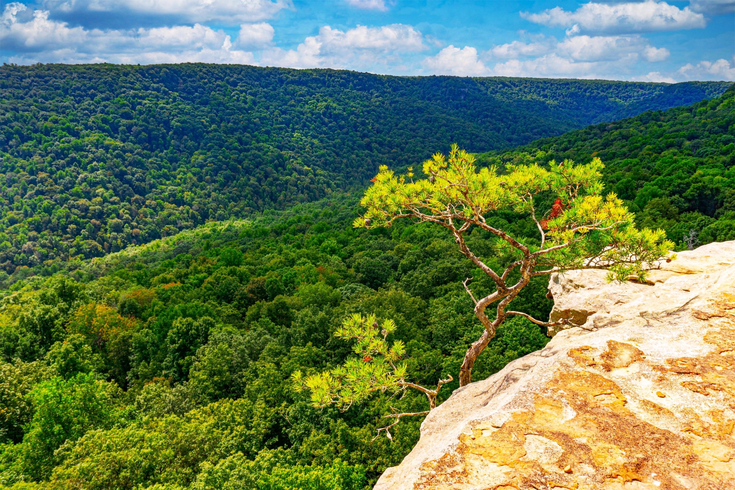 この過小評価されているテネシー州立公園は、グランドキャニオンとグレートスモーキーマウンテンを組み合わせたようなものです