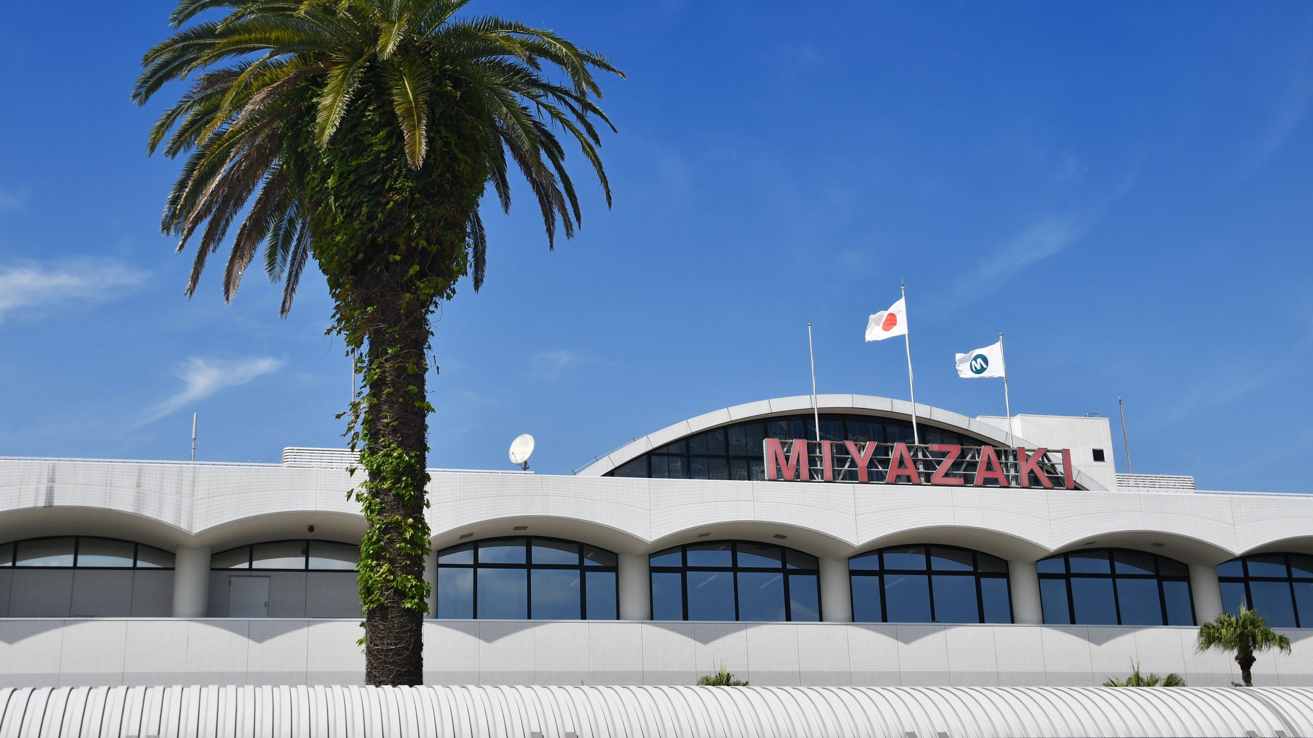 第二次世界大戦の爆弾爆発が誘導路に23フィートのクレーターが残った後、日本の宮崎空港のフライトが破壊されました