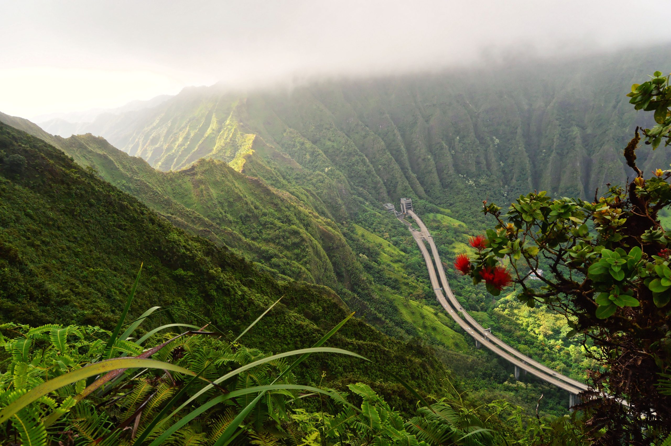 あなたが最初に怪我をしなければ、あなたはこのハワイのハイキングで逮捕されます