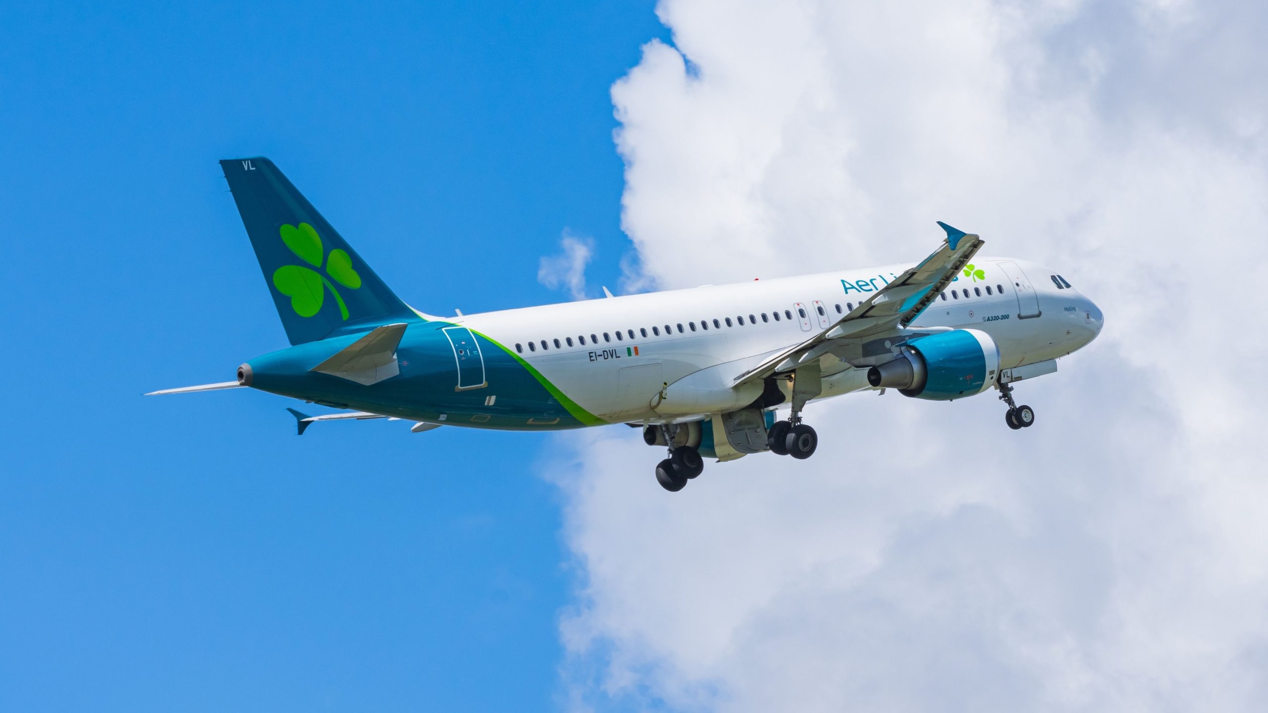 アイリッシュフラッグキャリアAer Lingusがテネリフェへの最初のAviosのみのフライトを開始します