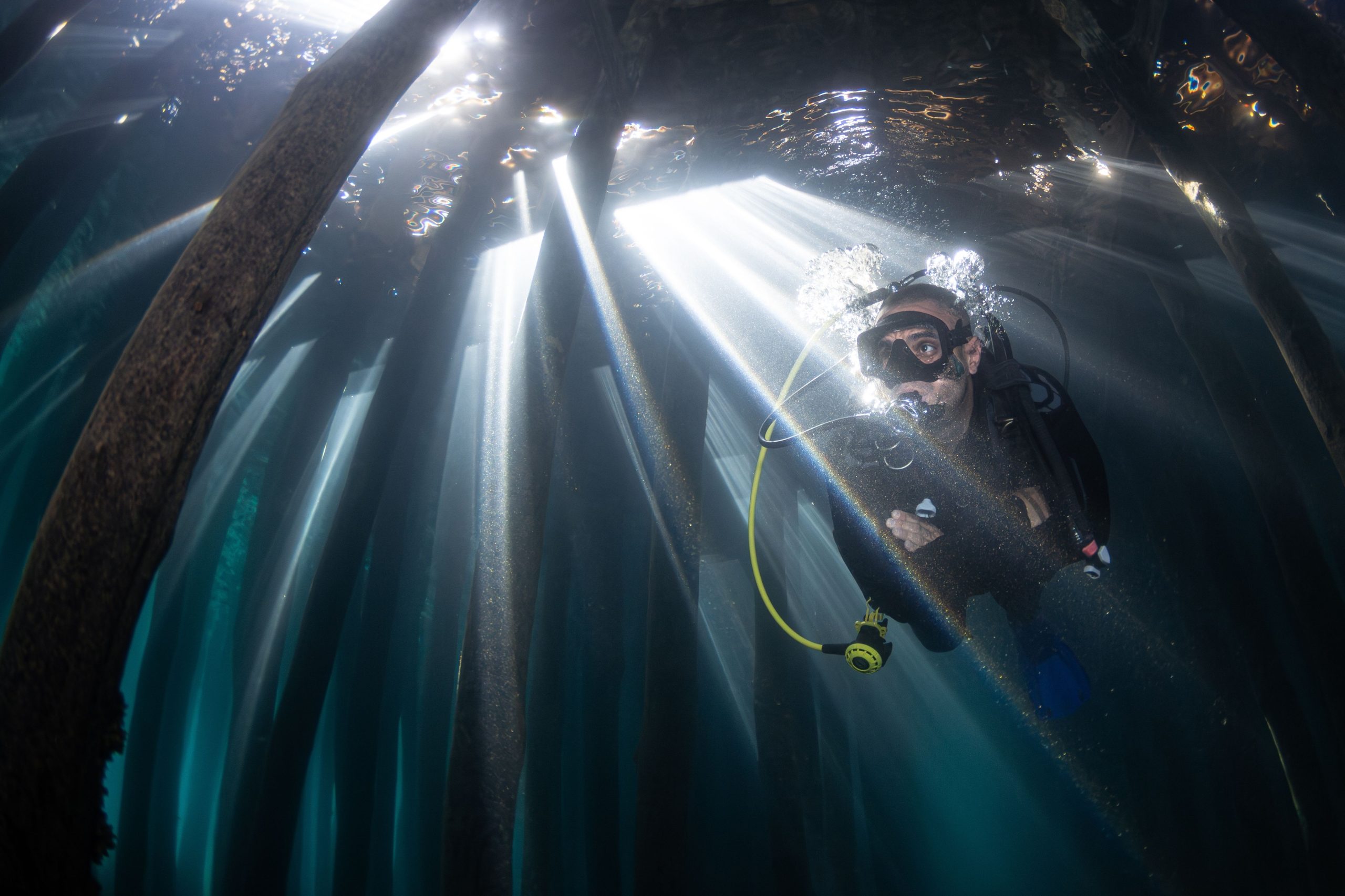 ウィスコンシン州のこの予期せぬ場所で、複数の発見が水中で行われました