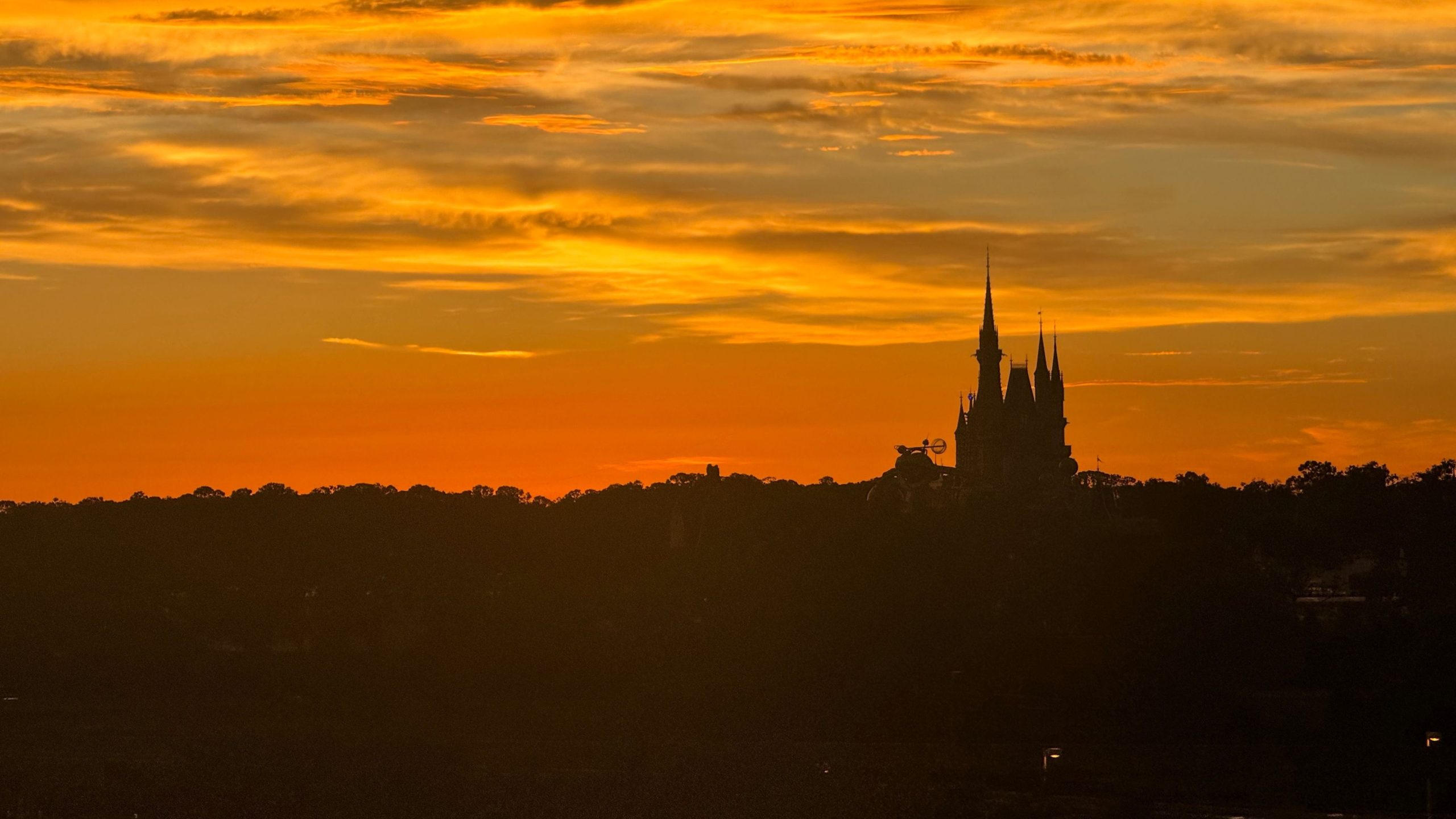 フロリダのディズニーワールドにワニはいますか？