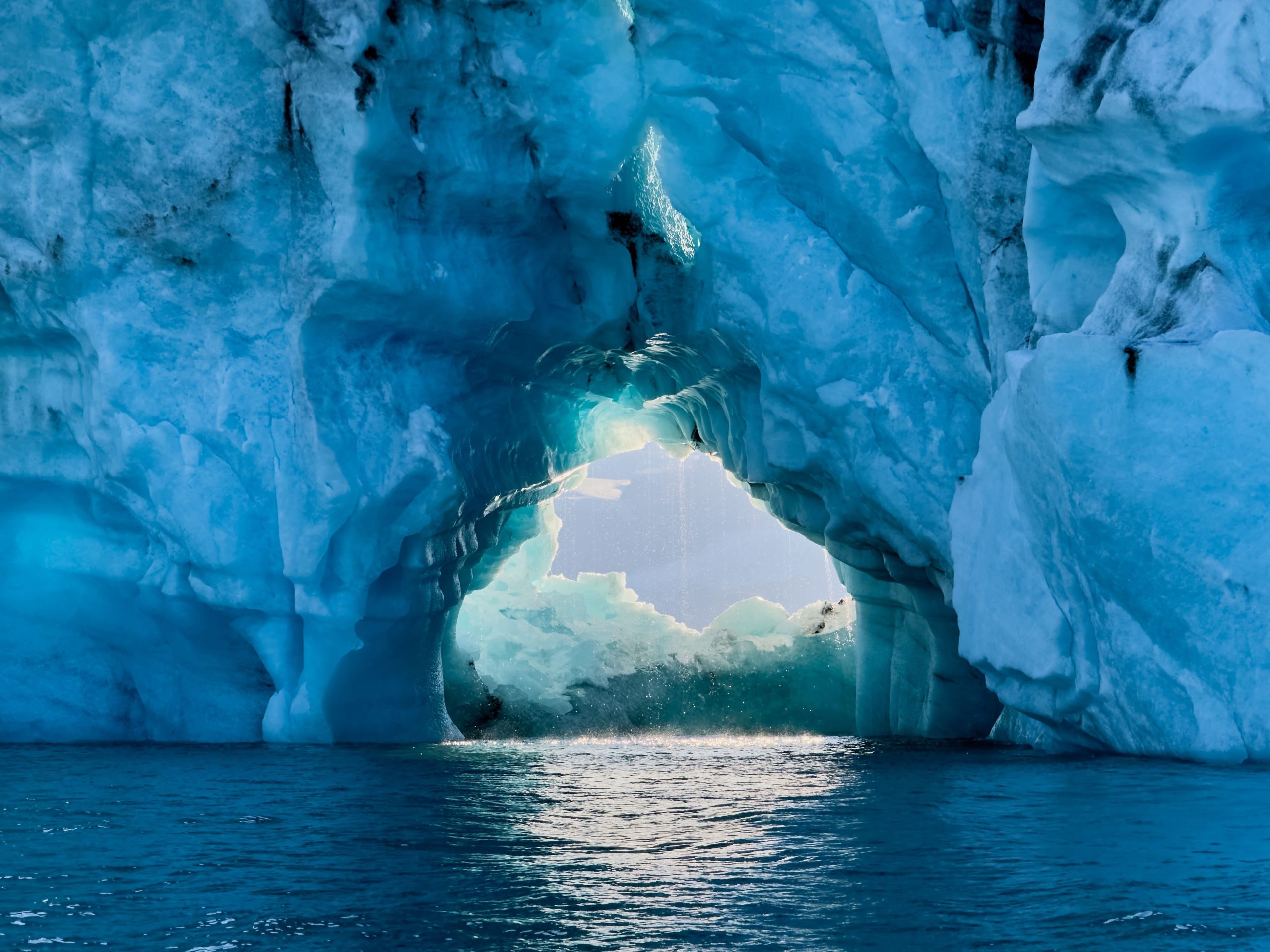 サウスジョージア島は、世界最大の氷山が停止した後に免れましたが、まだ終わっていません