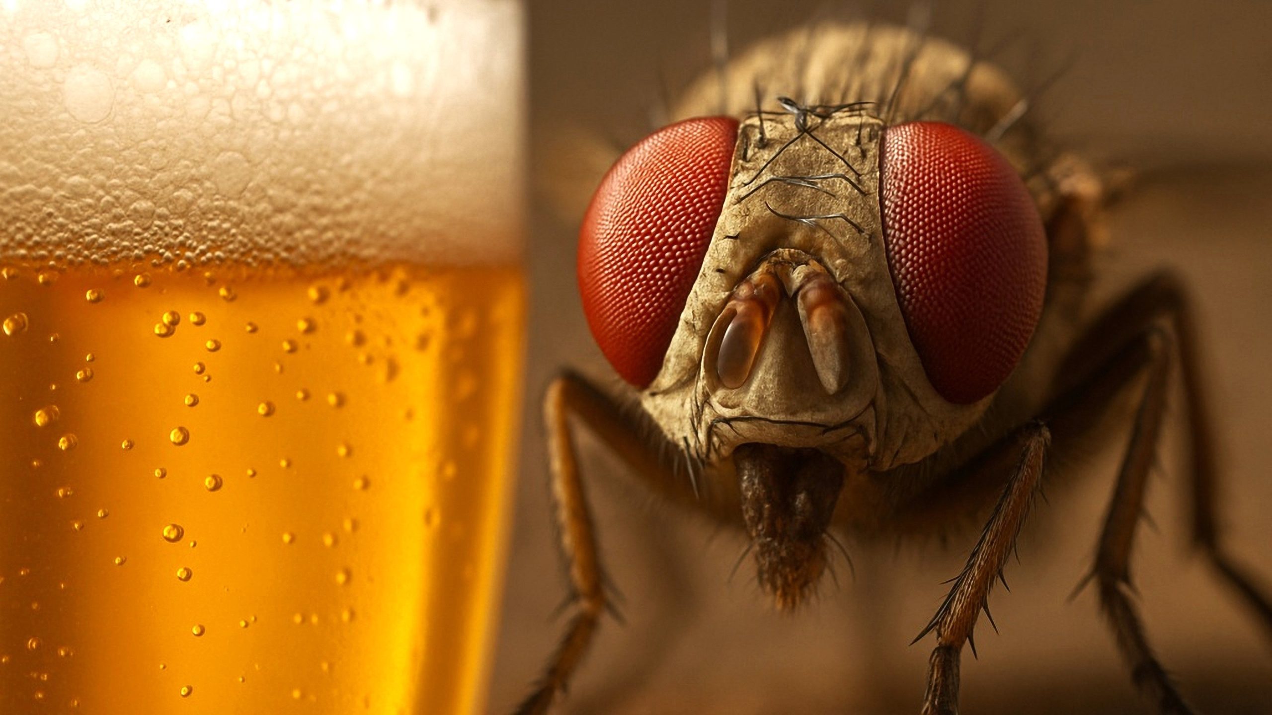 アルコールは、この生き物を交尾時に良くします、と研究は発見します