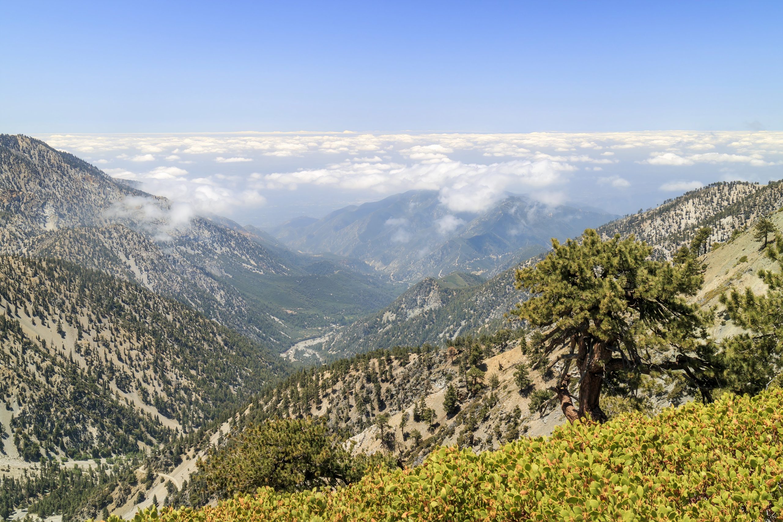 ロサンゼルスの最も人気のあるトレイルの1つがハイカーの命を奪い続けています