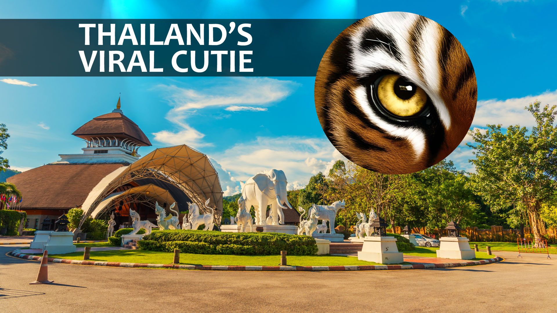 「ムーブ」オーバー、ムーデン：タイの他のかわいい（＆生意気な）クリーチャーに出会う