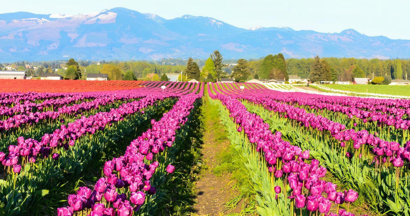 ワシントンの最も牧歌的な小さな町はあなたが聞いたことがないものです