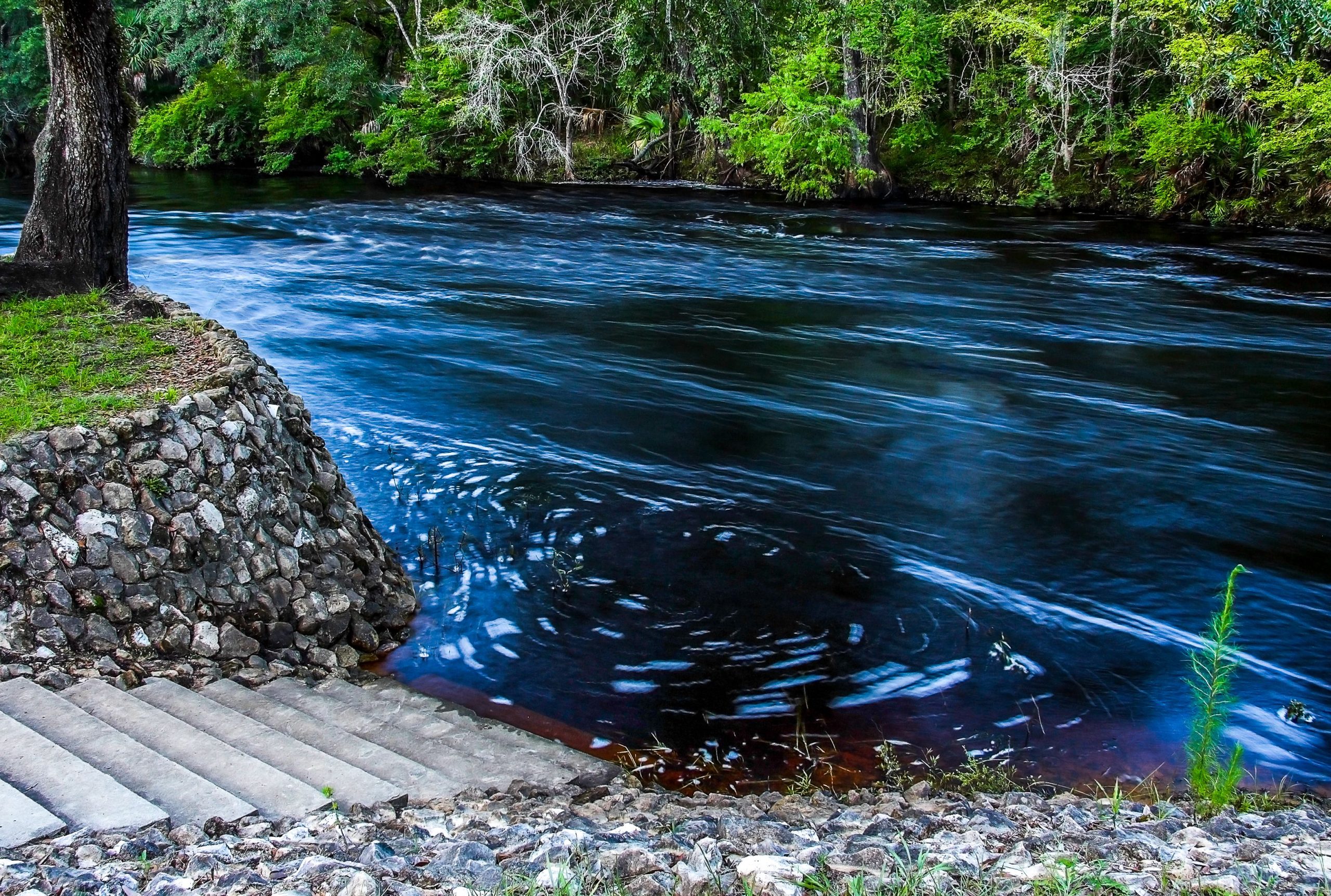フロリダの陥没穴は、誤って500、000年前の大衆の墓を明らかにしました