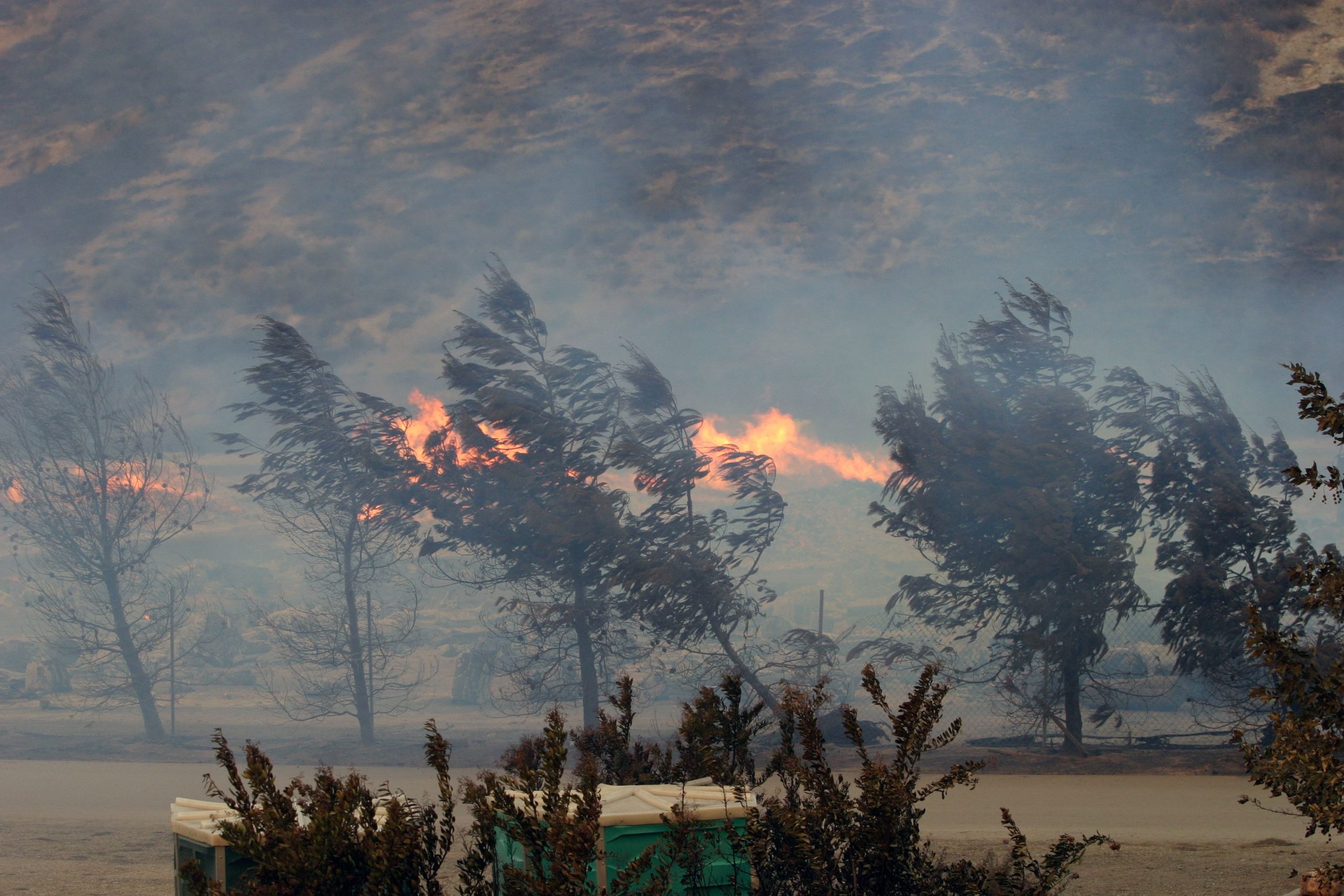 サンタアナ風が80 mphの突風をもたらし、南カリフォルニアに山火事の危険を増やしました